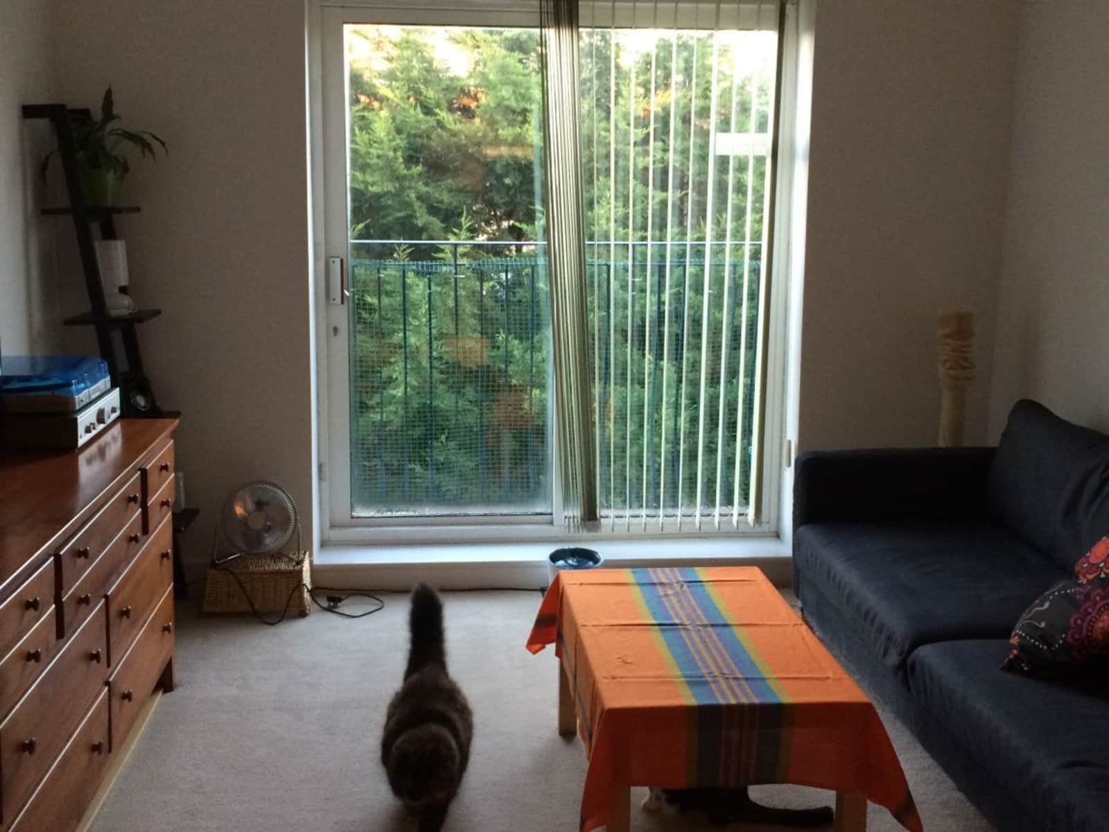 Housesitting assignment in London, United Kingdom