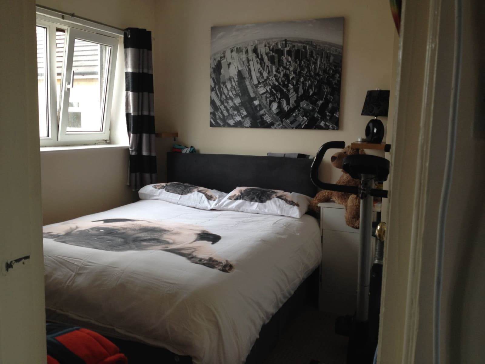 Housesitting assignment in Shipley, United Kingdom