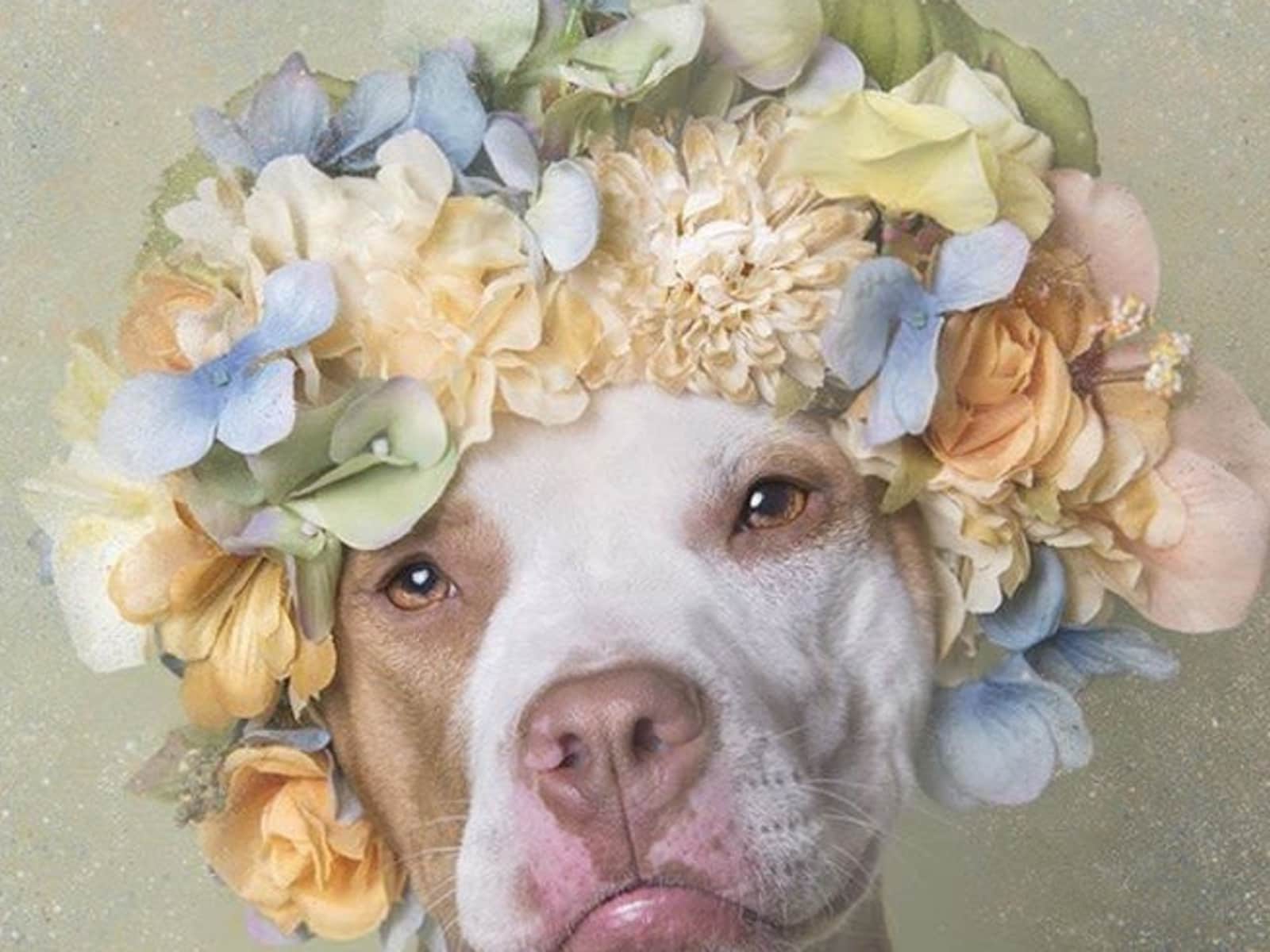 Tiffany from Montréal, Quebec, Canada