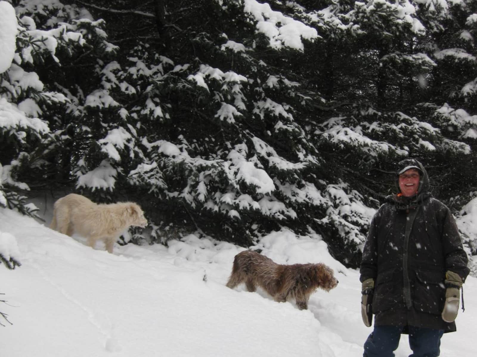 Aj & Don from Prescott, Arizona, United States