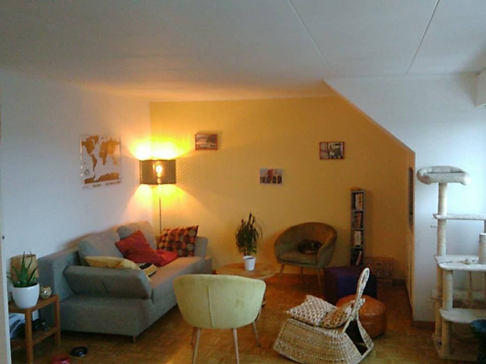 Housesitting assignment in Luxembourg, Luxembourg