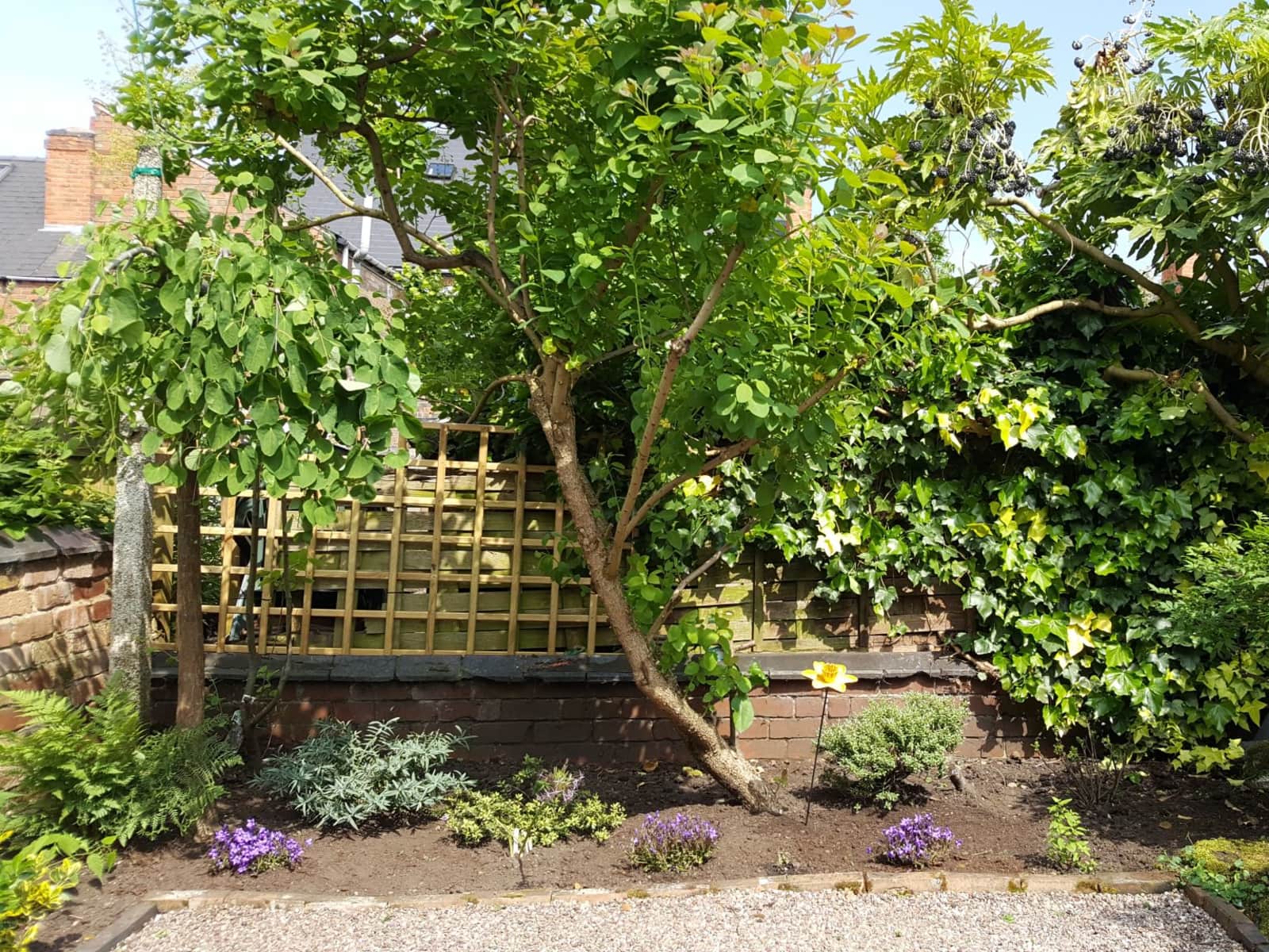 Housesitting assignment in Derby, United Kingdom