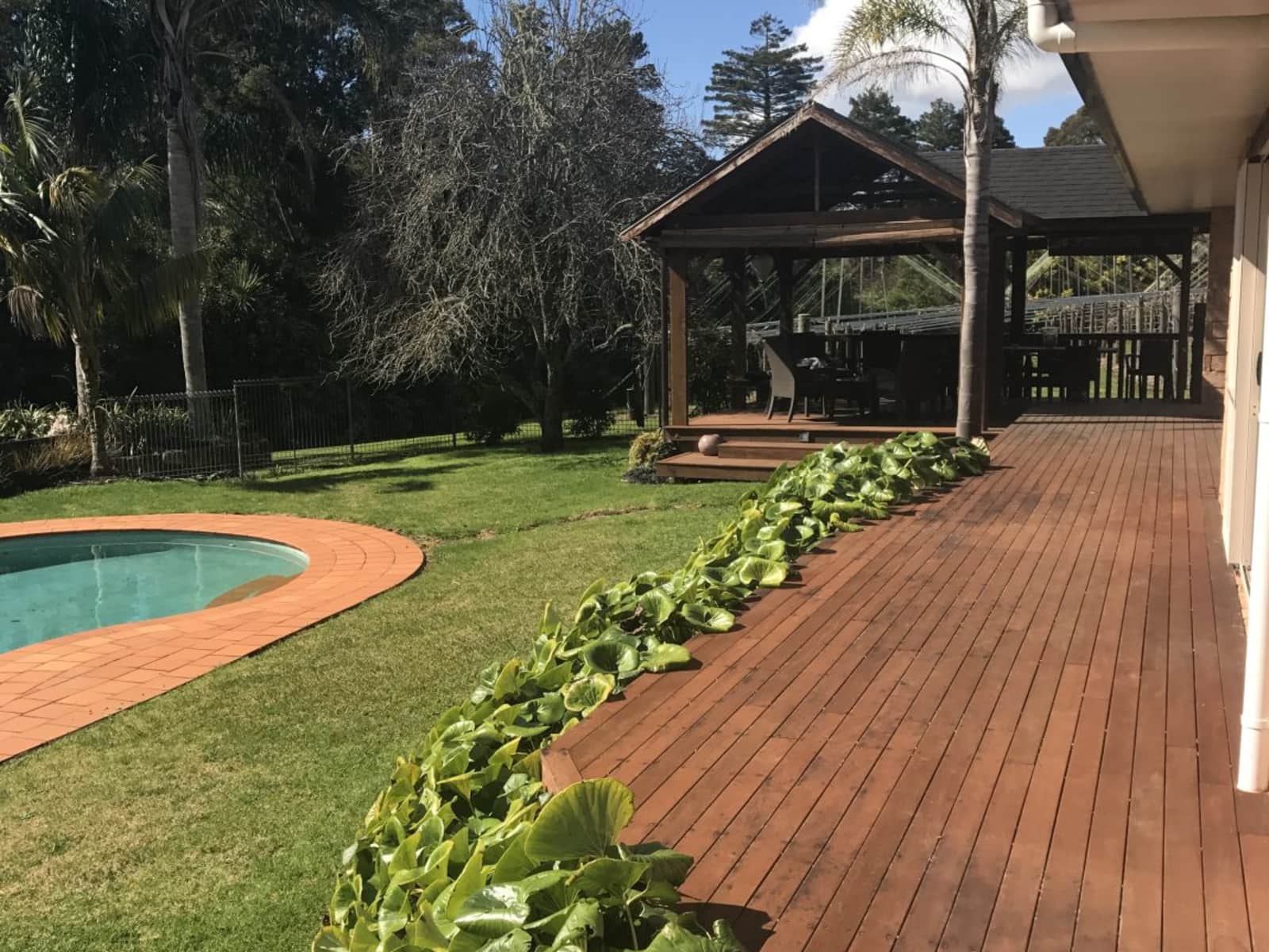 Housesitting assignment in Kerikeri, New Zealand