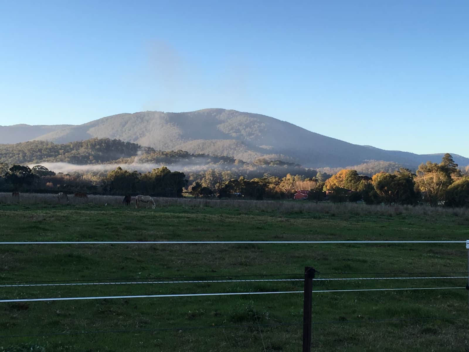 Housesitting assignment in Healesville, Victoria, Australia