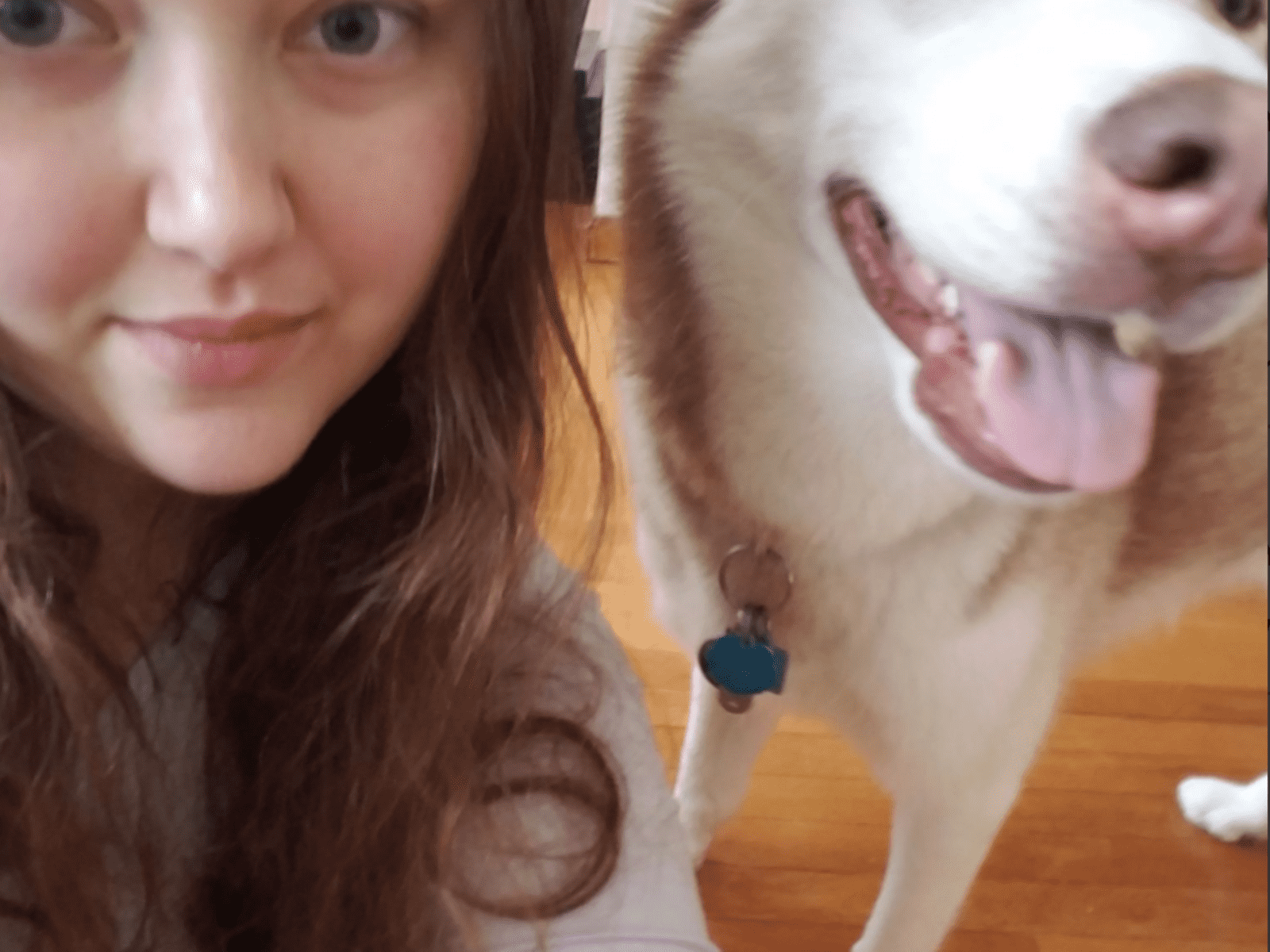 Stefania from Boston, Massachusetts, United States