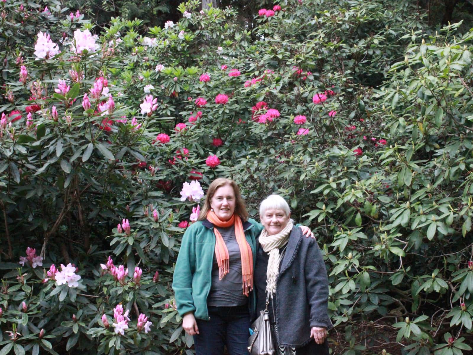 Susan from Seattle, Washington, United States