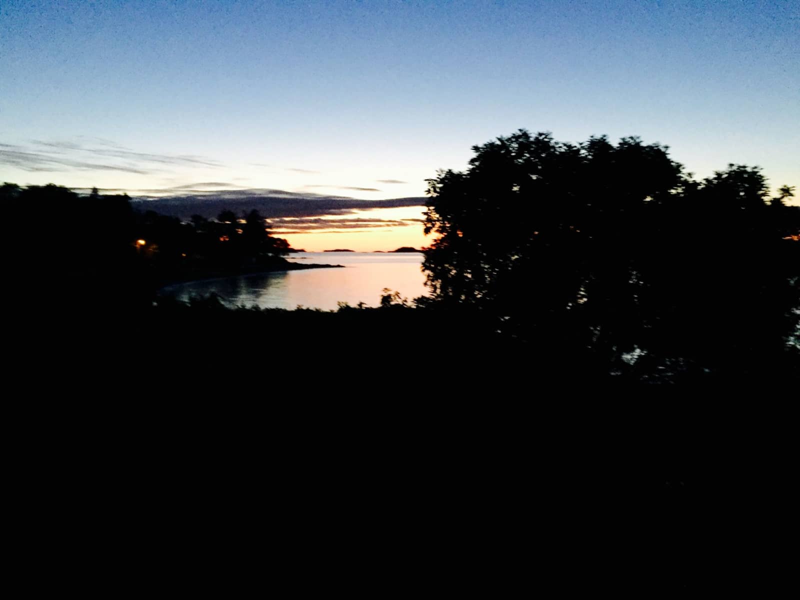Housesitting assignment in Lantzville, British Columbia, Canada