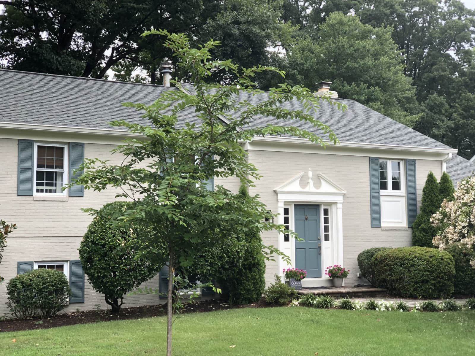Housesitting assignment in Alexandria, Virginia, United States