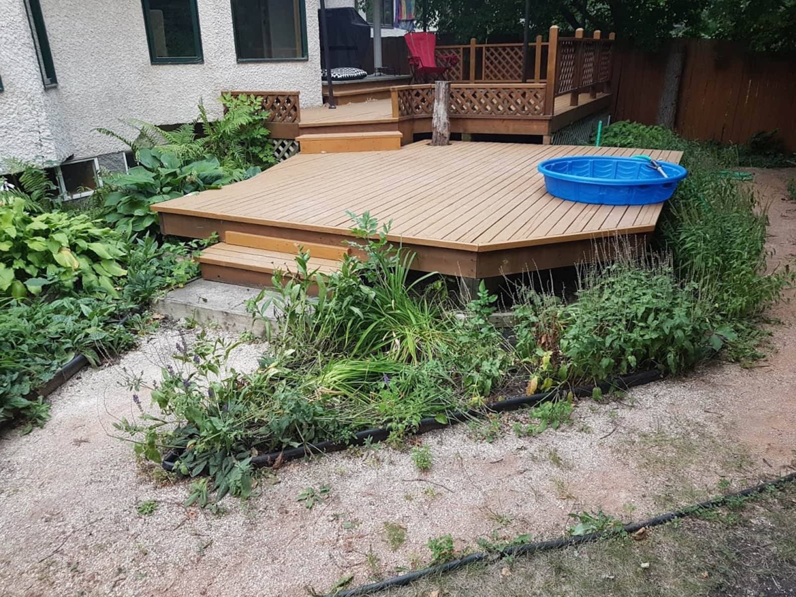 Housesitting assignment in Winnipeg, Manitoba, Canada