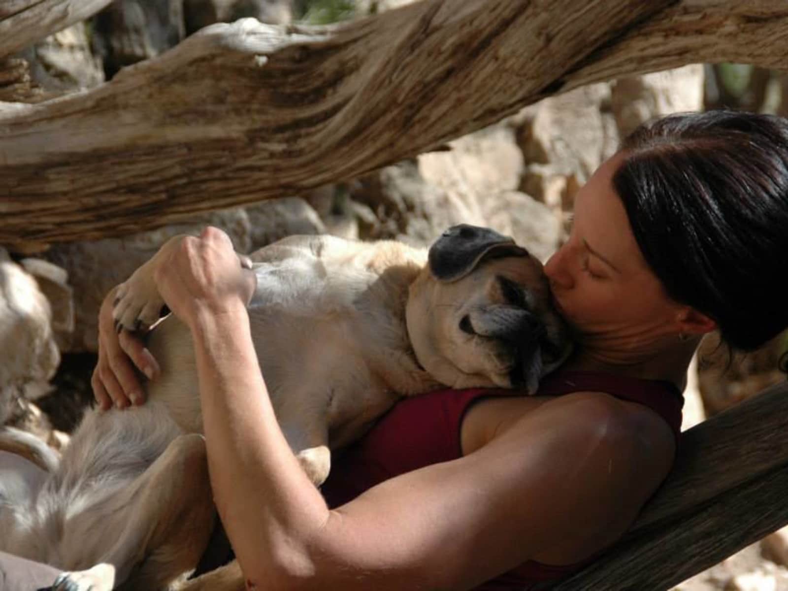 Julie & Eric from Franktown, Colorado, United States