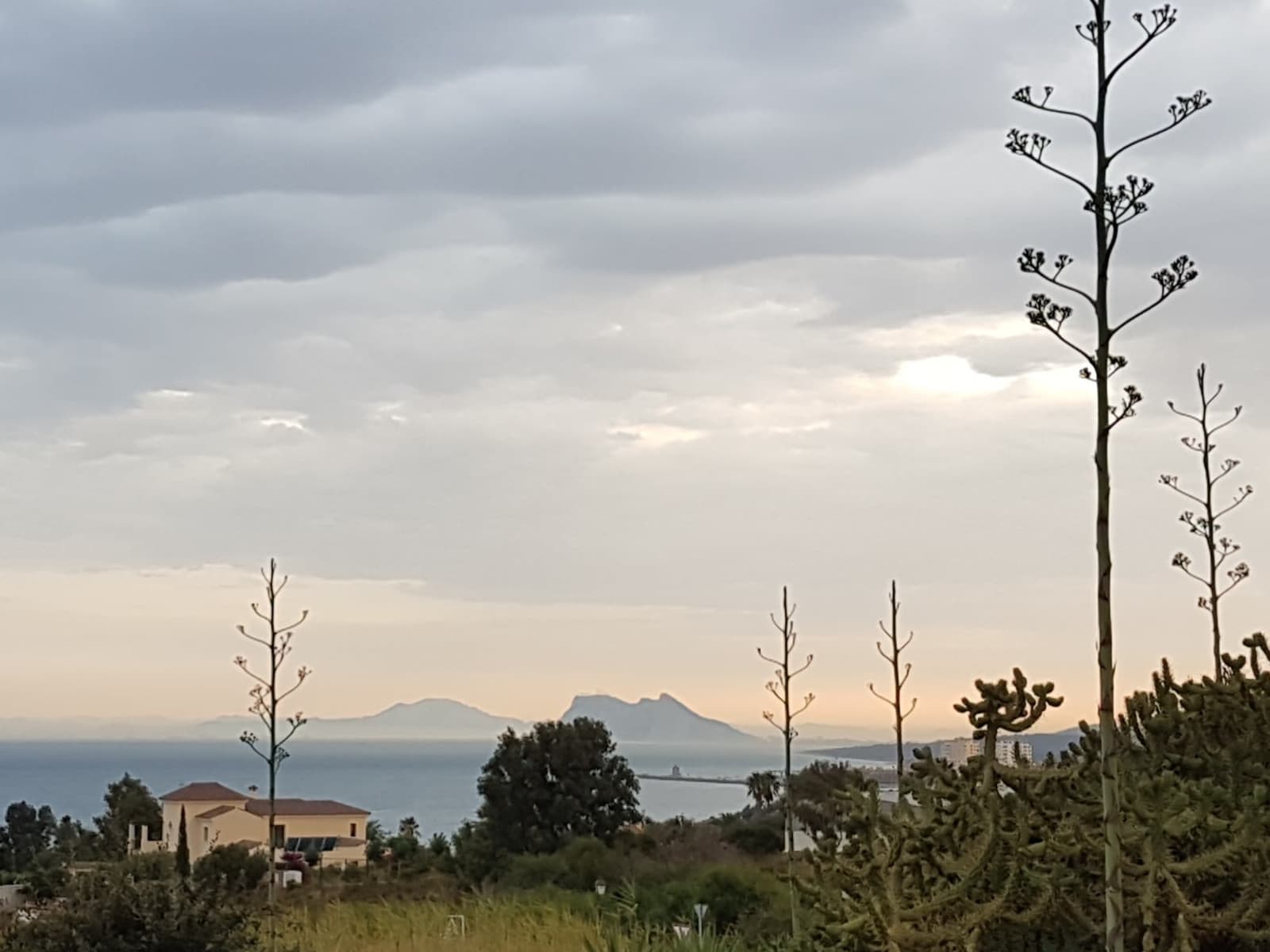 Housesitting assignment in Torre Guadiaro, Spain