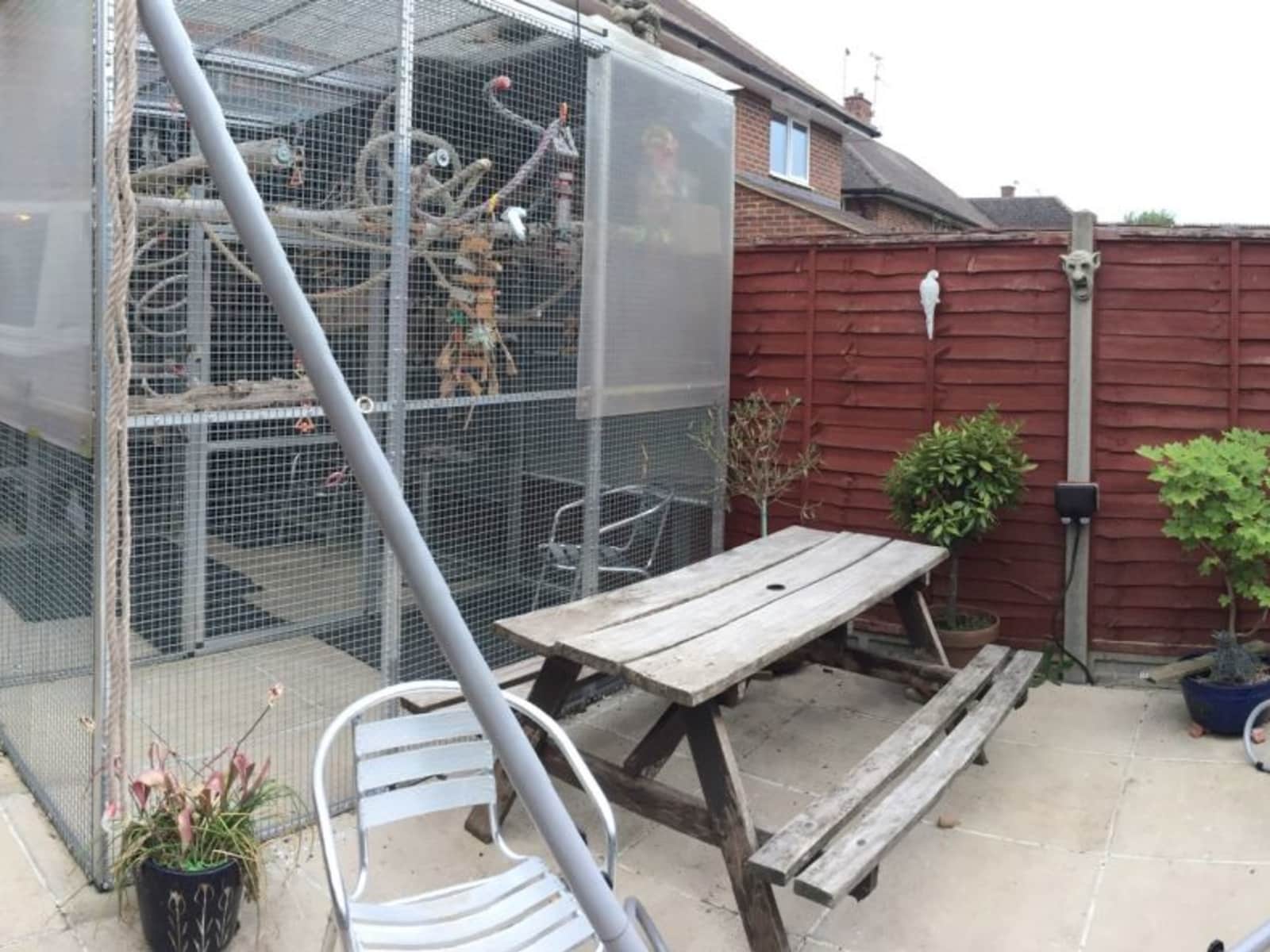 Housesitting assignment in Woking, United Kingdom