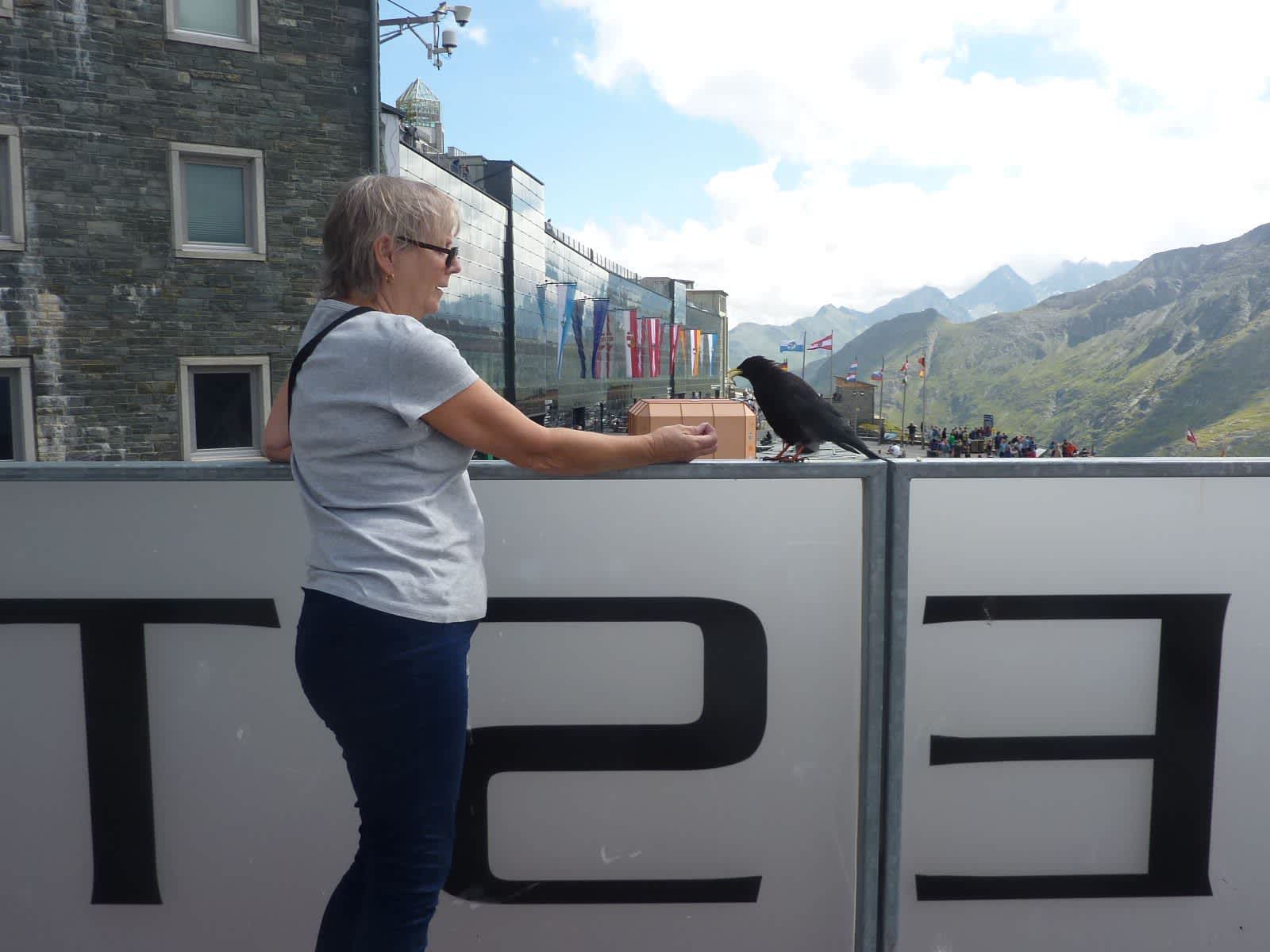 Jackie from Andover, United Kingdom