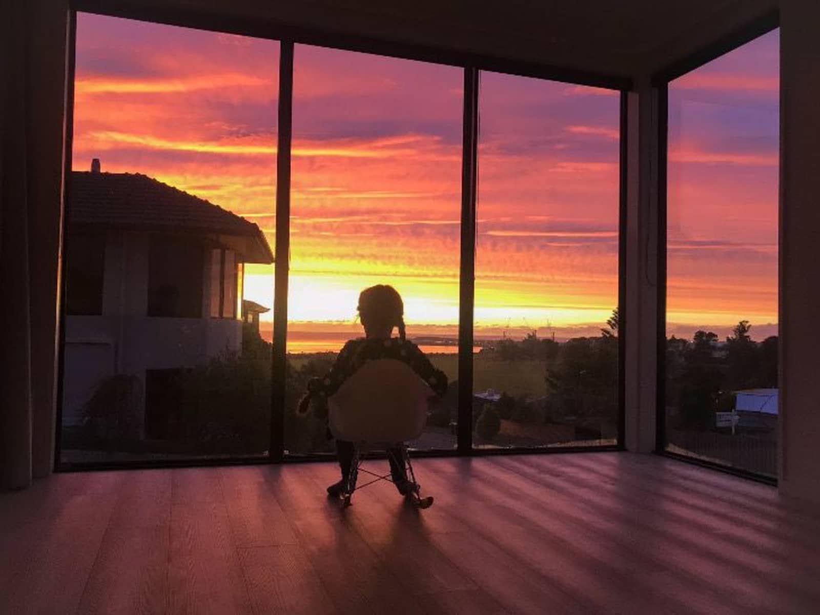Housesitting assignment in Timaru, New Zealand