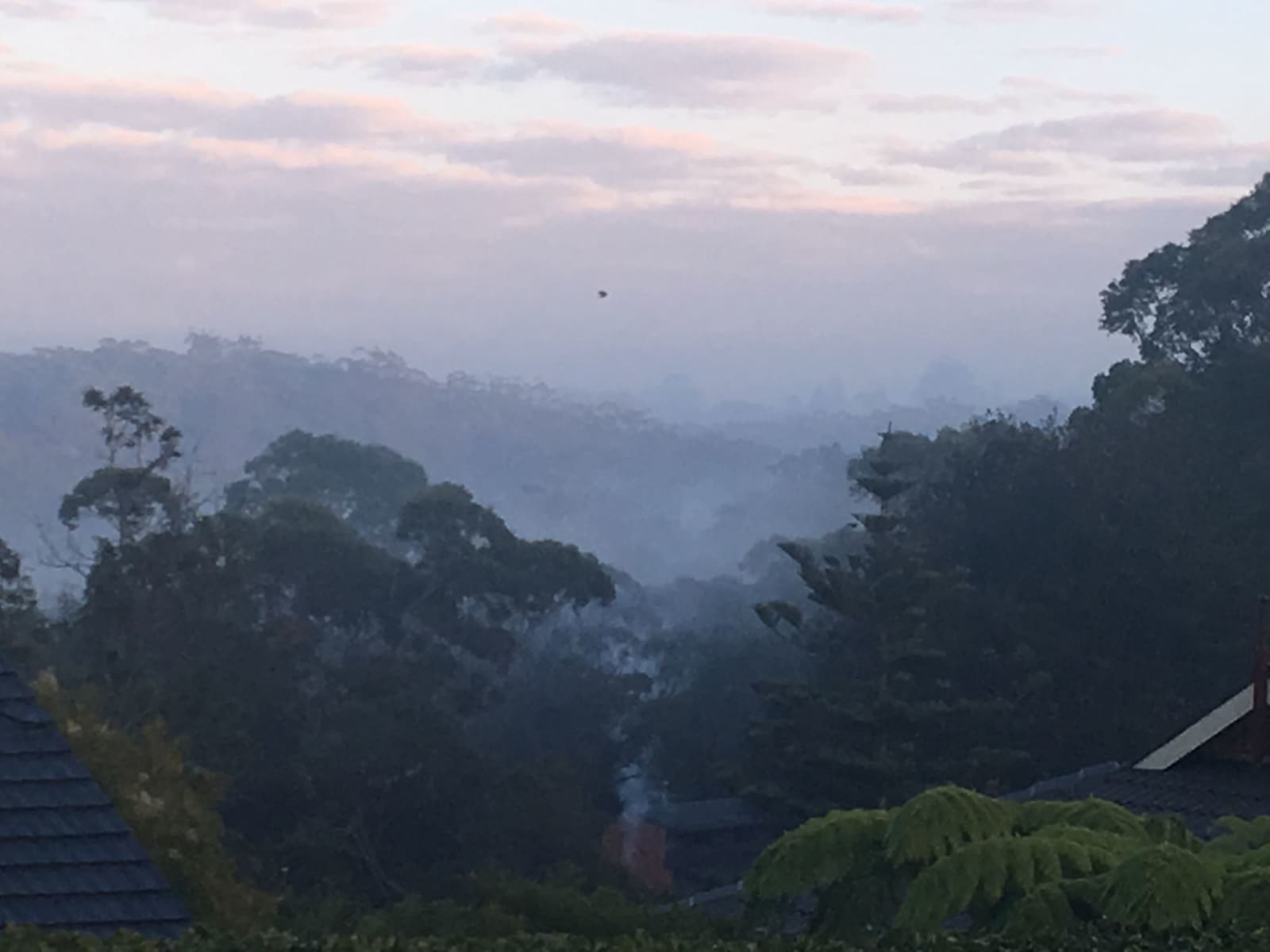 Housesitting assignment in Wahroonga, New South Wales, Australia