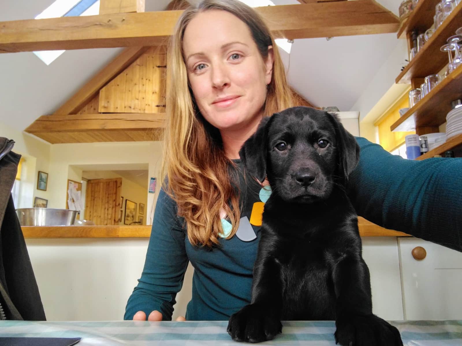 Charli from Canterbury, United Kingdom