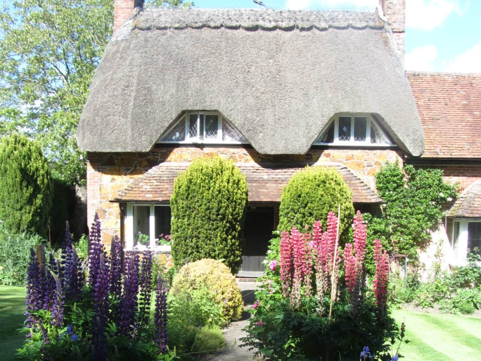 Housesitting assignment in Salisbury, United Kingdom