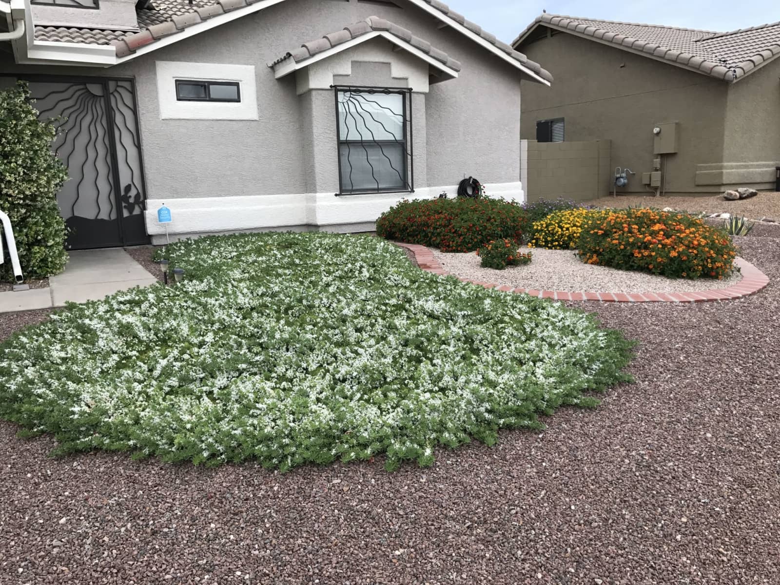 Housesitting assignment in Tucson, Arizona, United States