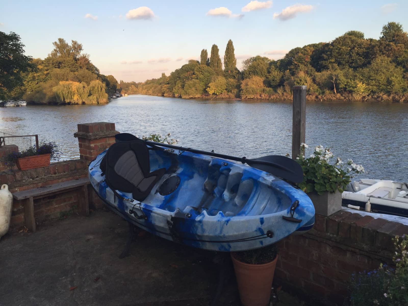 Housesitting assignment in Twickenham, United Kingdom