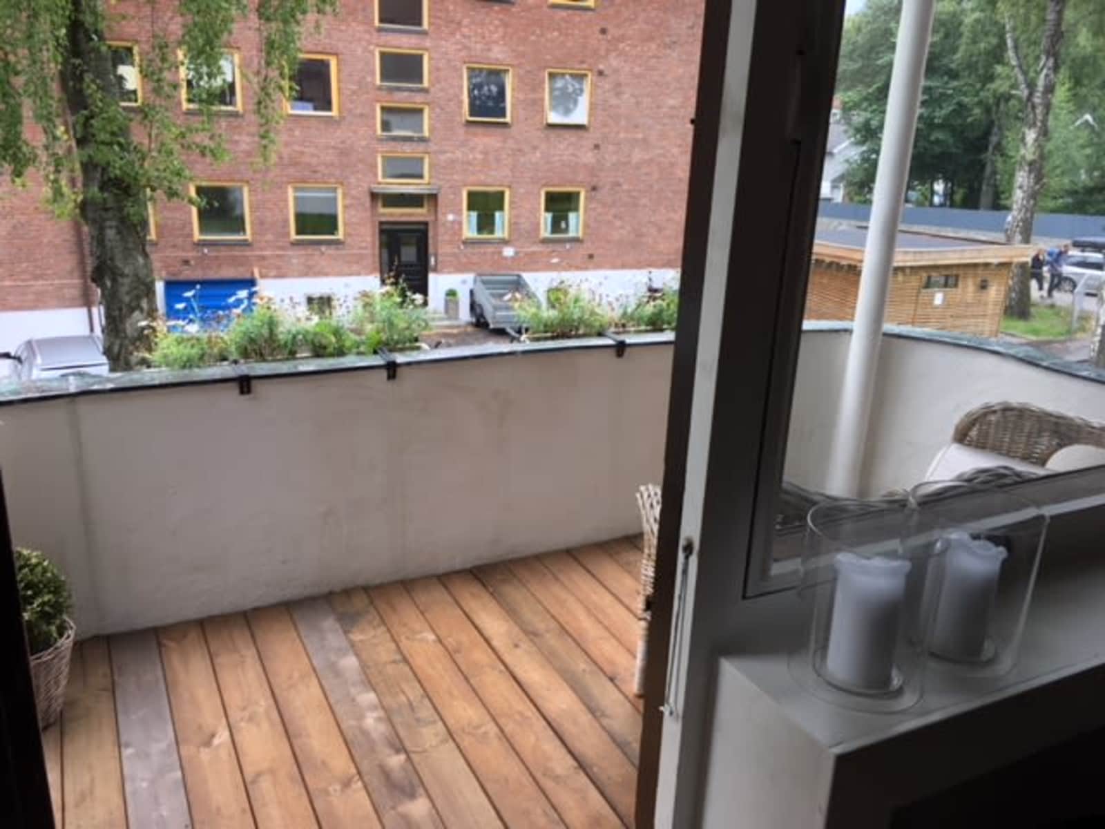 Housesitting assignment in Oslo, Norway