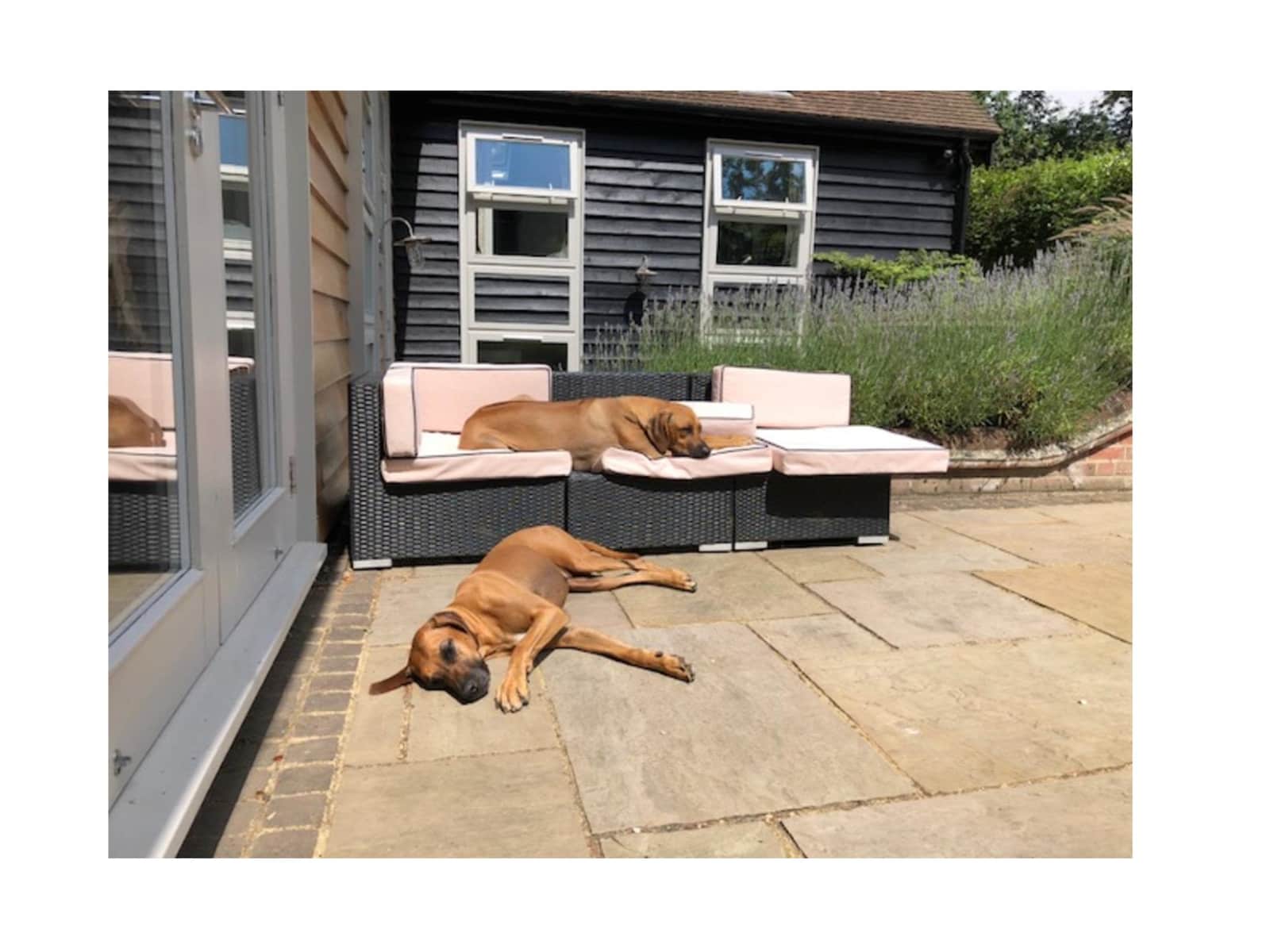 Housesitting assignment in Felden, United Kingdom