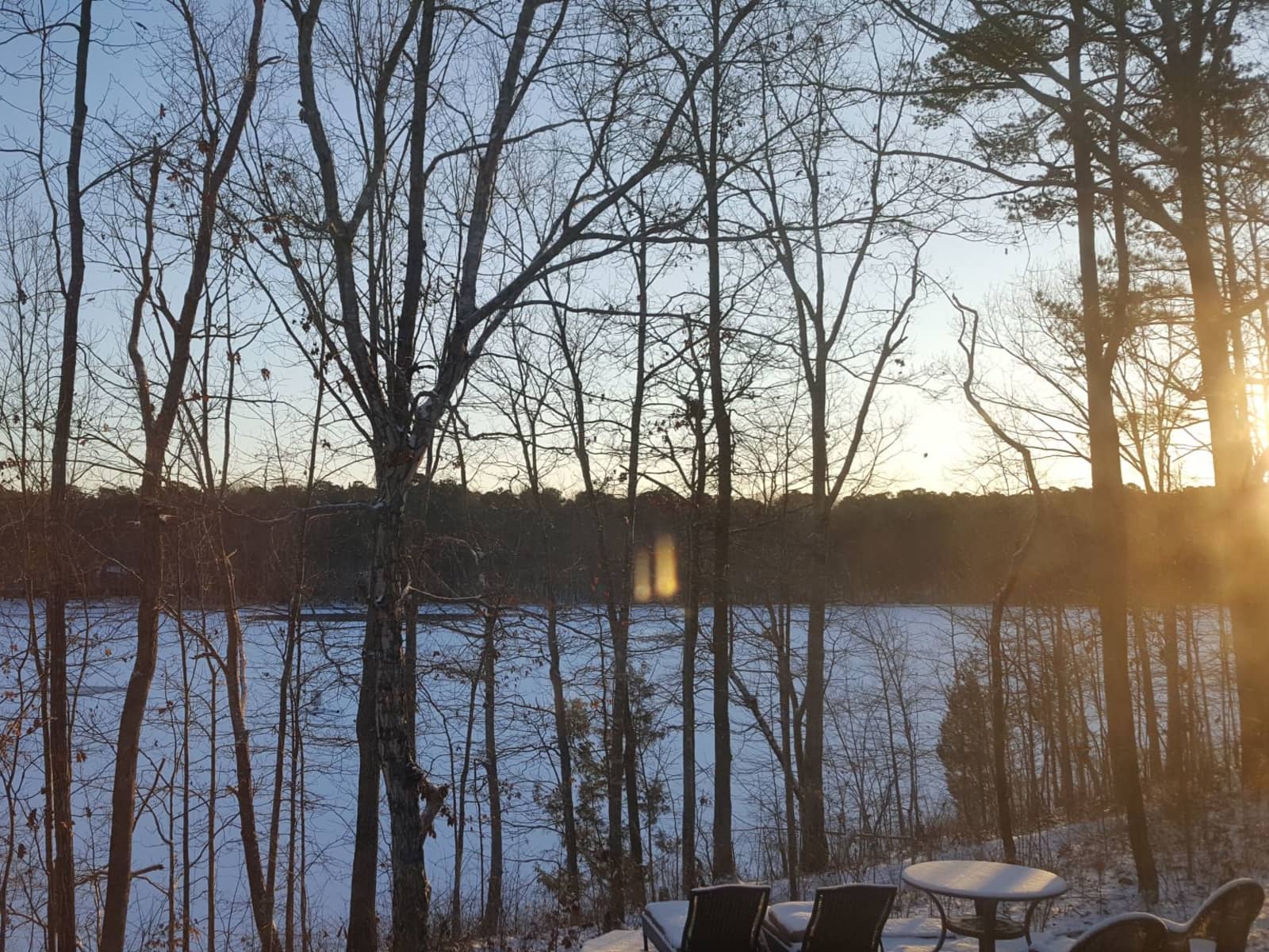 Housesitting assignment in Cary, North Carolina, United States