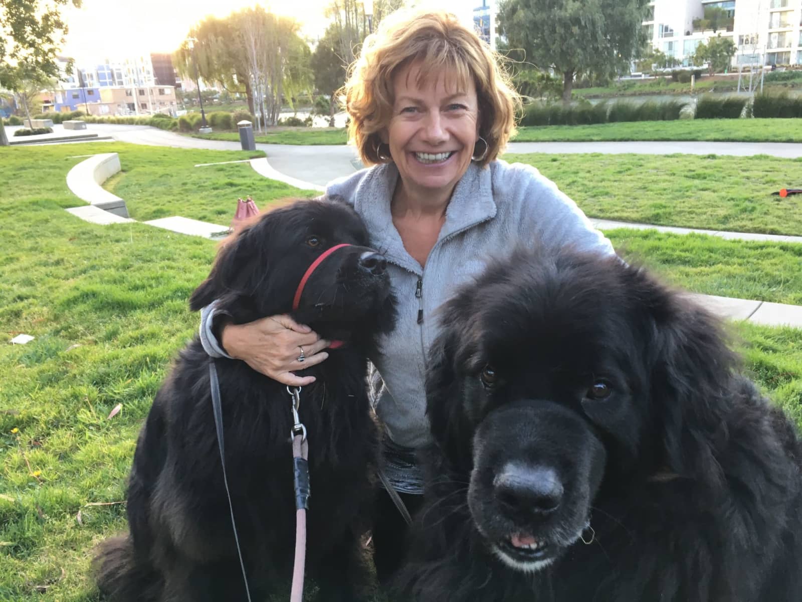 Elaine from Sarasota, Florida, United States