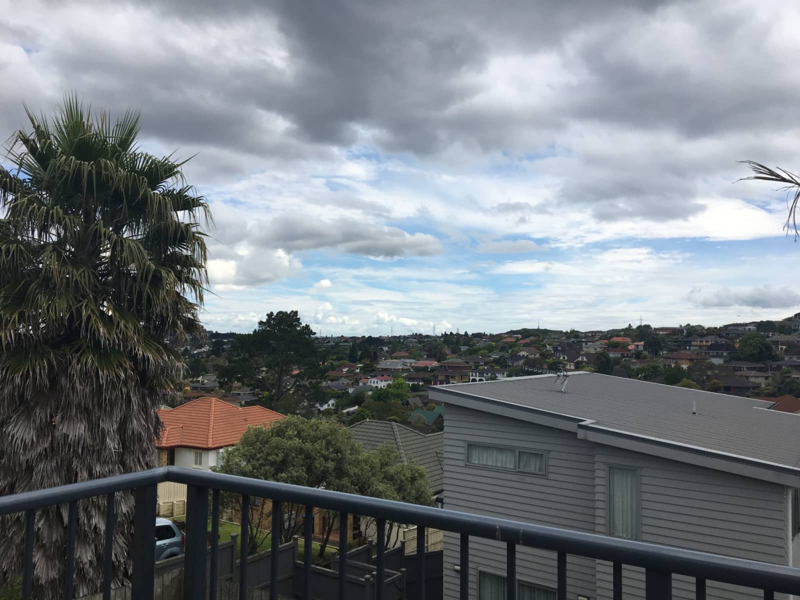 Housesitting assignment in Auckland, New Zealand