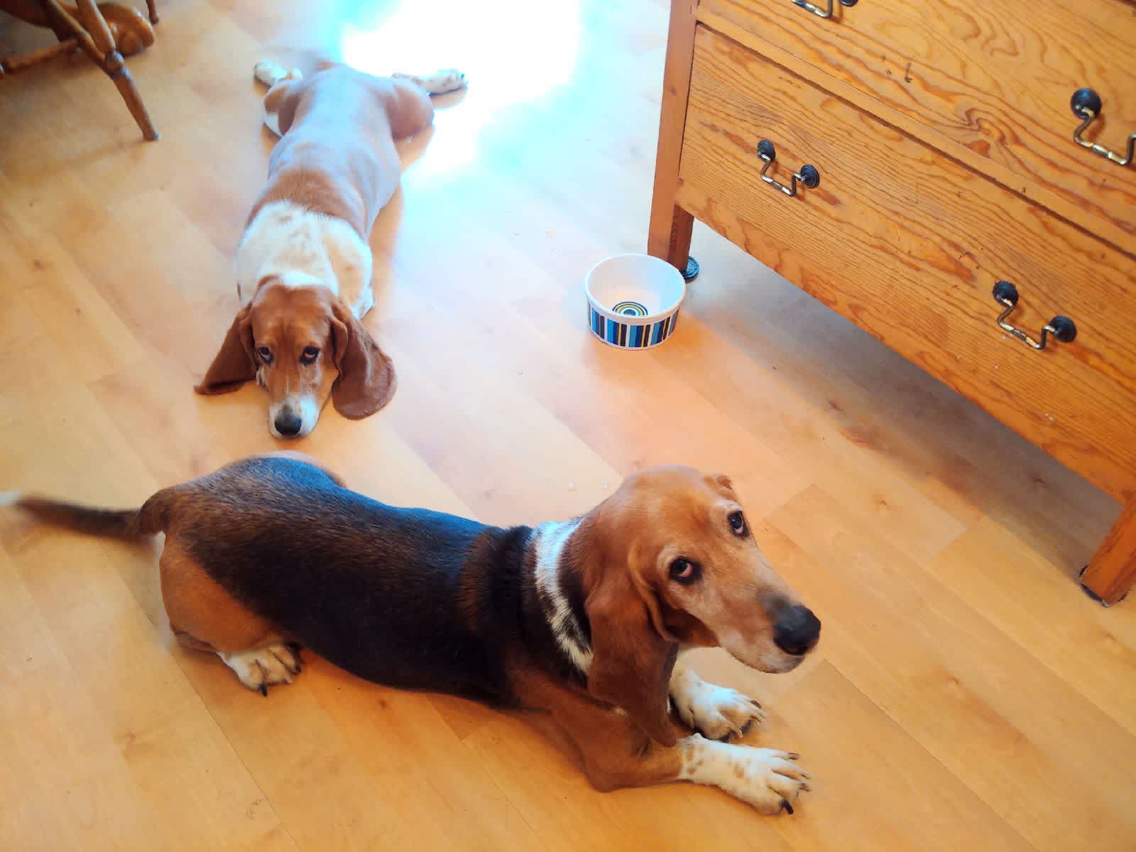 Kathie from Vancouver, British Columbia, Canada