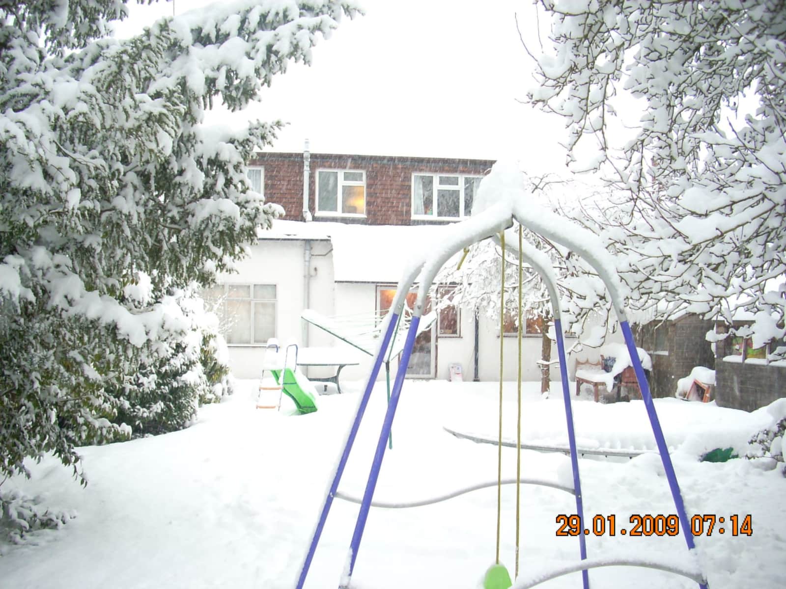 Housesitting assignment in Weybridge, United Kingdom
