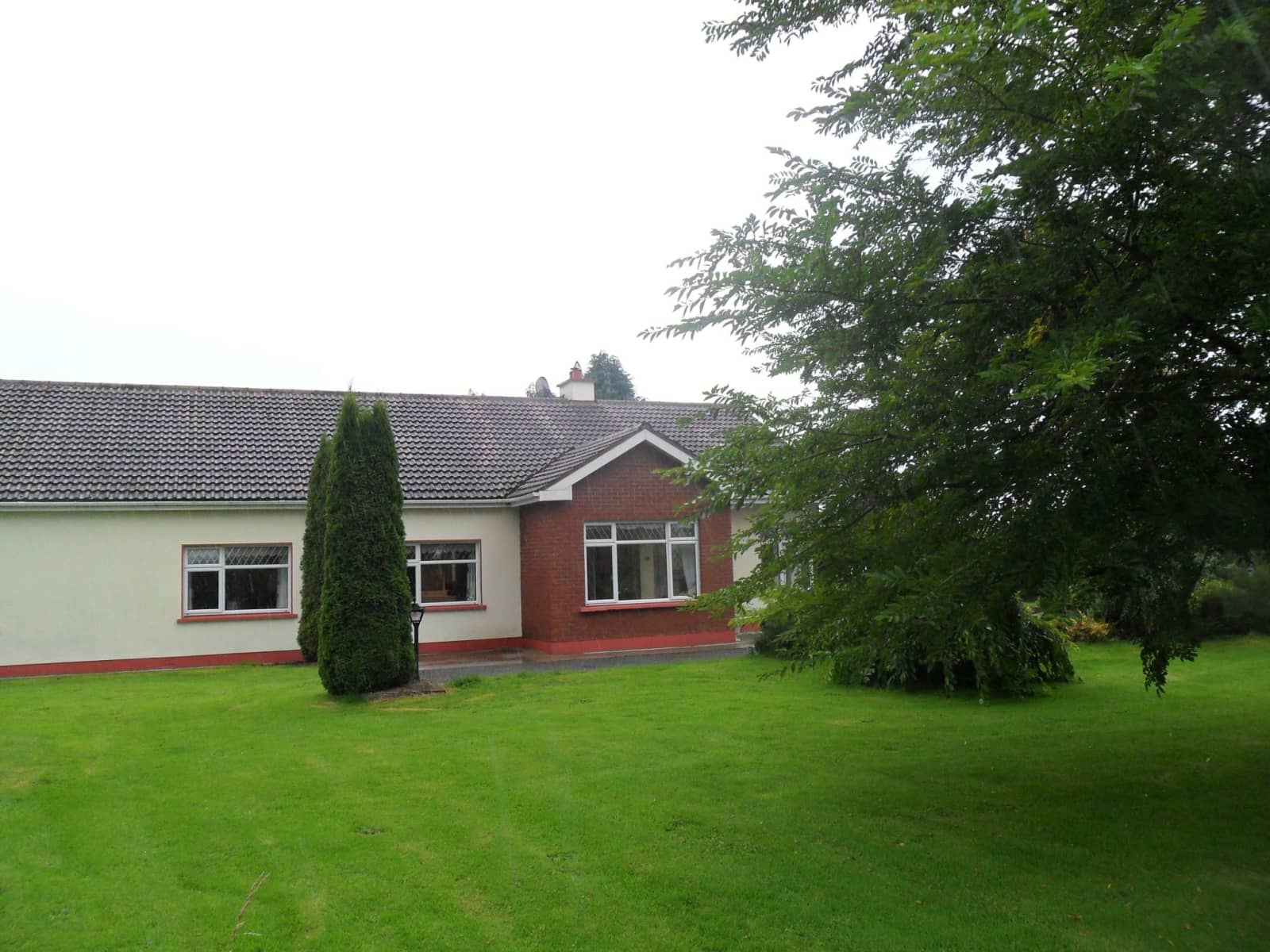 Housesitting assignment in Mullingar, Mullingar, Ireland