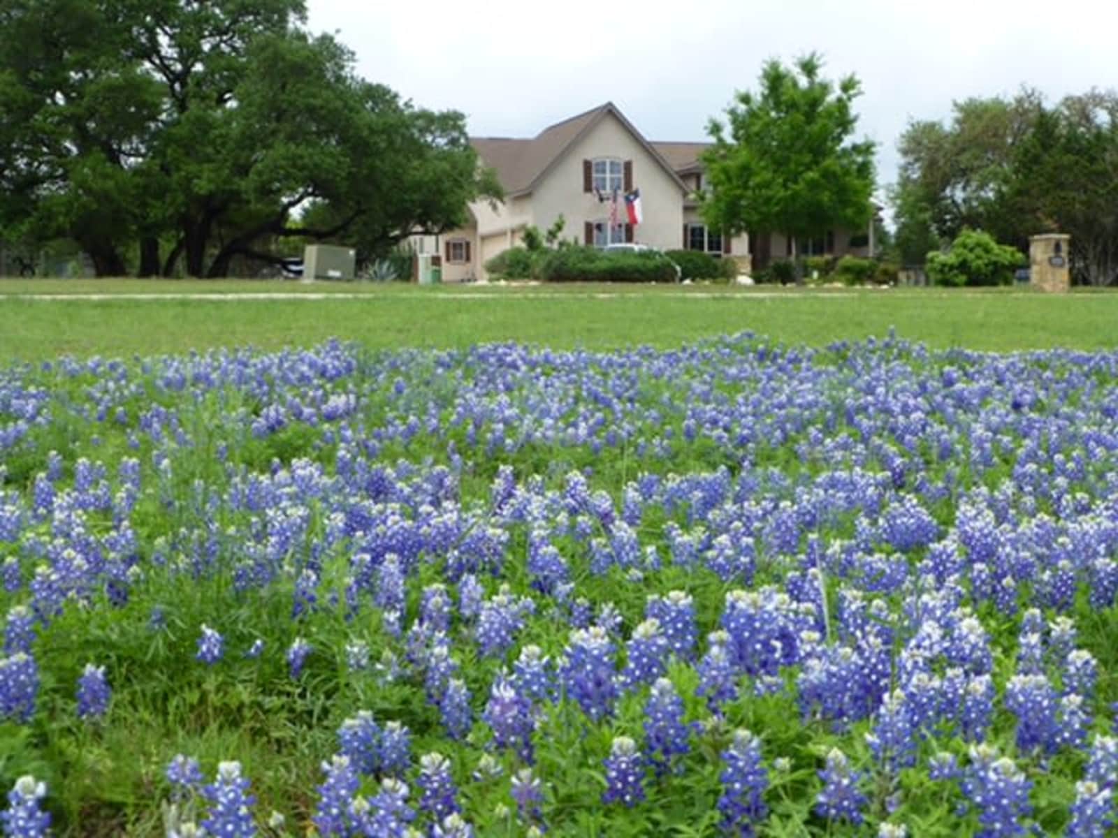Housesitting assignment in New Braunfels, Texas, United States