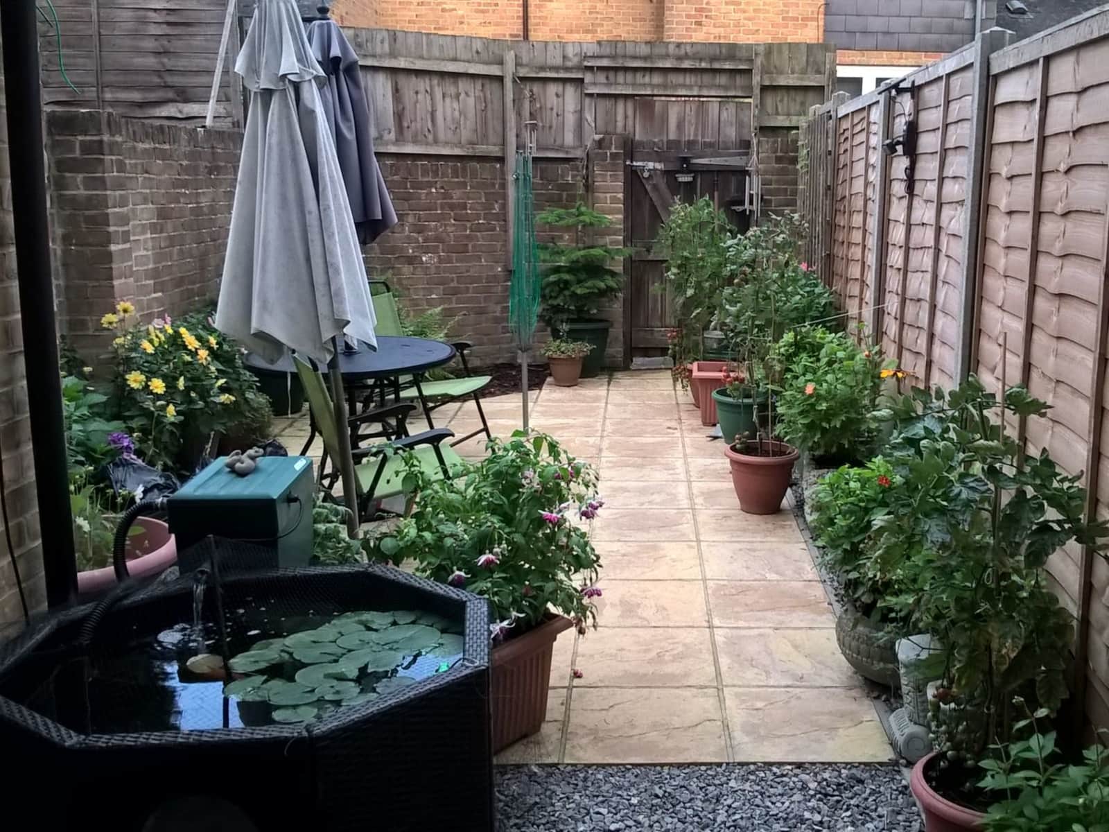 Housesitting assignment in Andover, United Kingdom