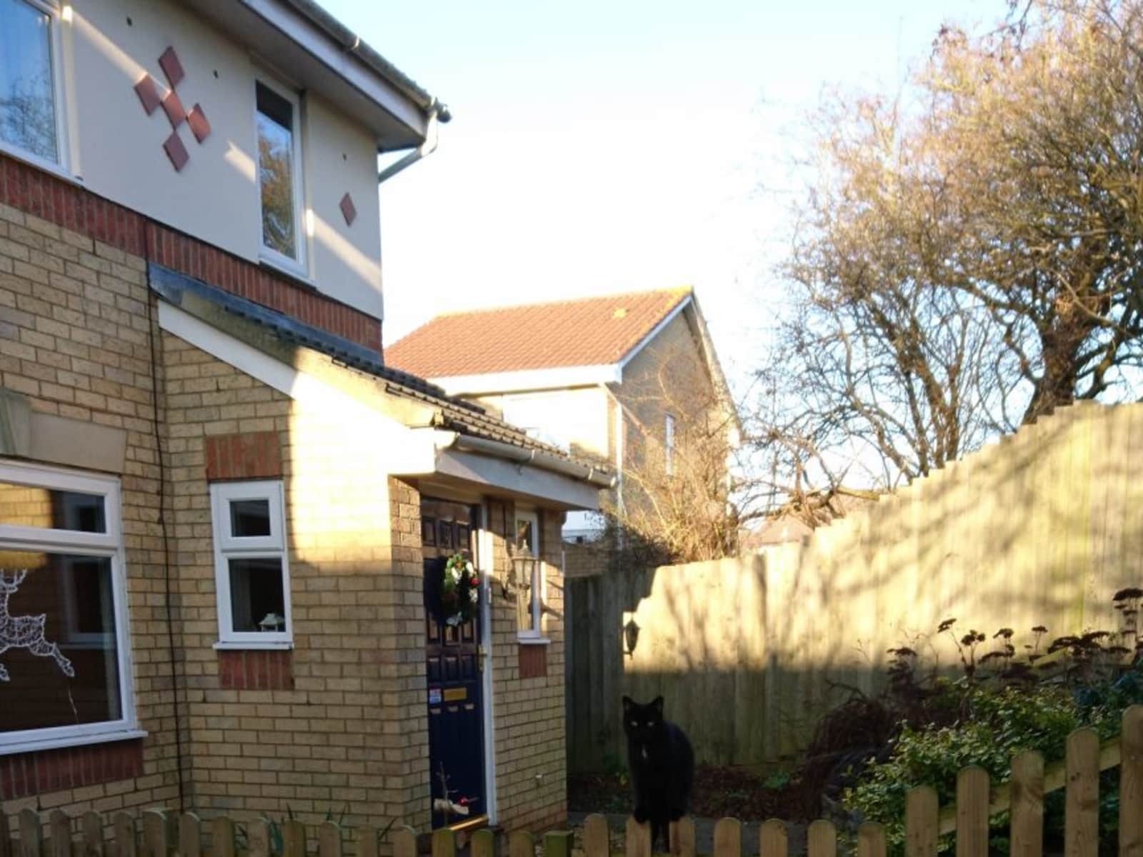Housesitting assignment in Bristol, United Kingdom