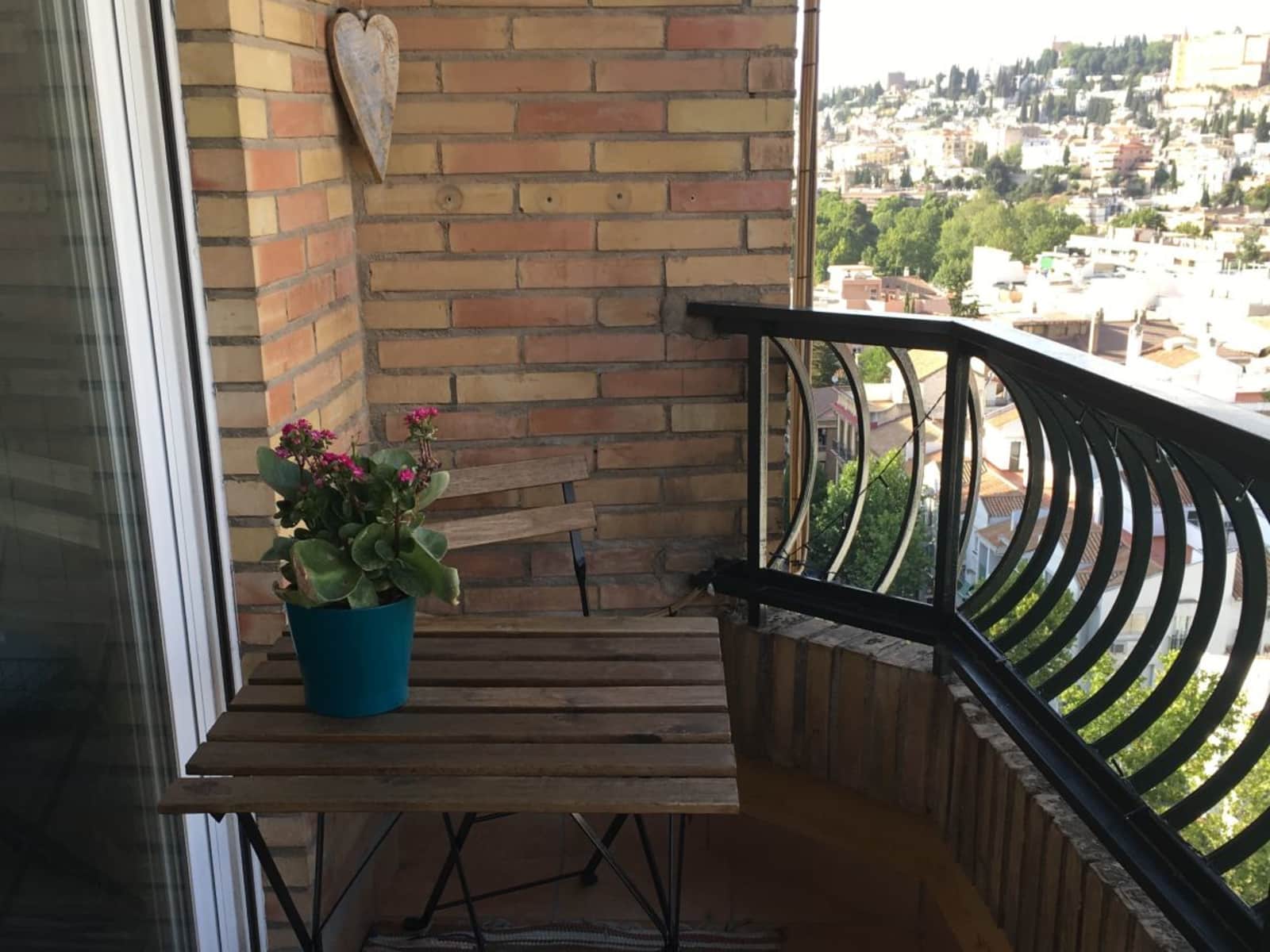 Housesitting assignment in Granada, Spain