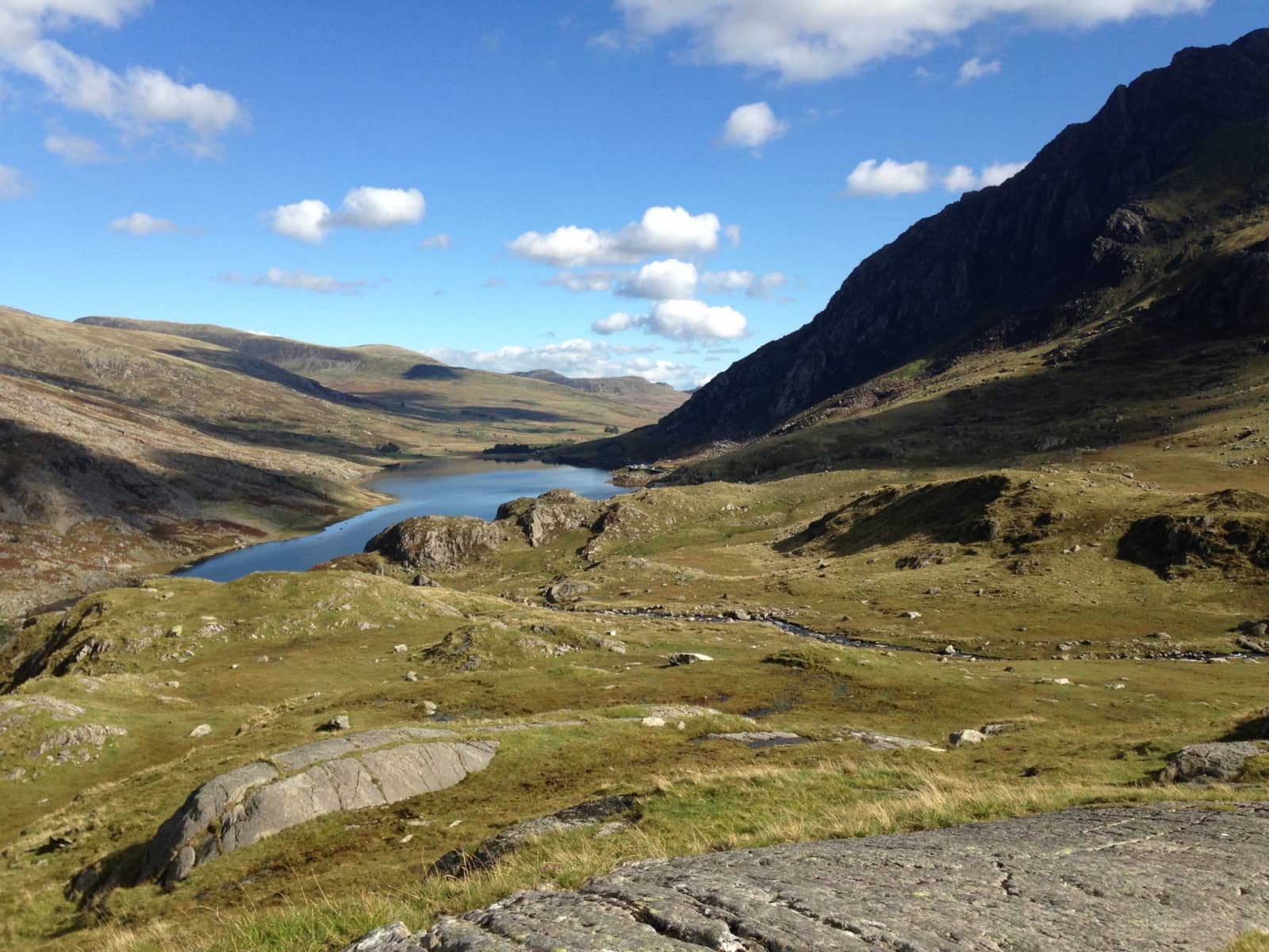 Housesitting assignment in Llangefni, United Kingdom