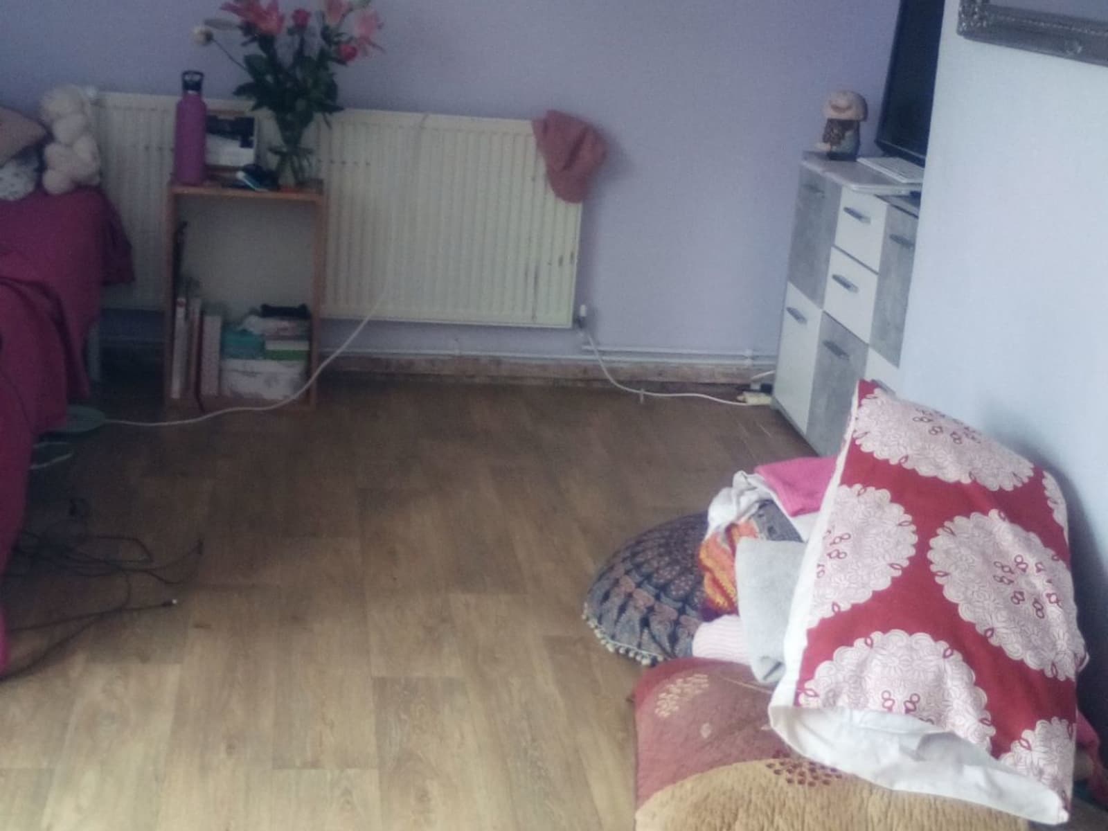 Housesitting assignment in Milton Keynes, United Kingdom