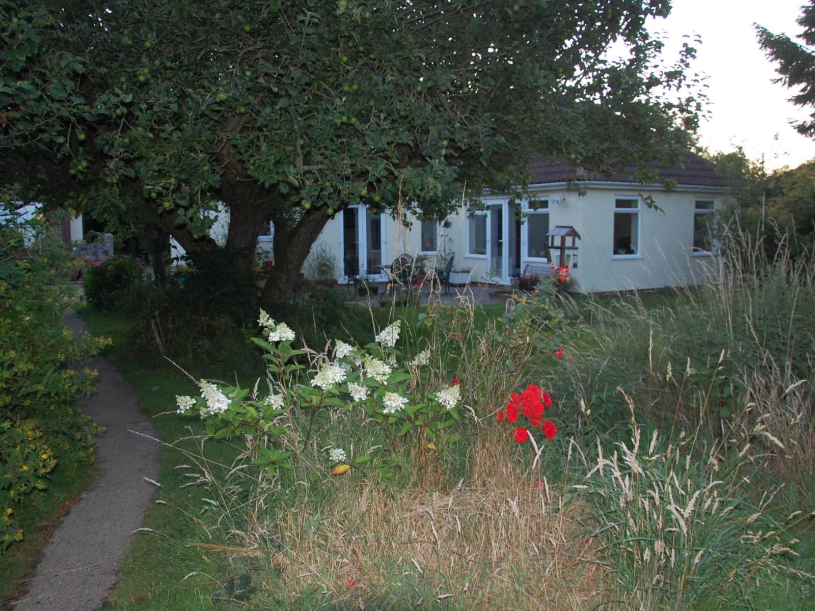 Housesitting assignment in Colchester, United Kingdom