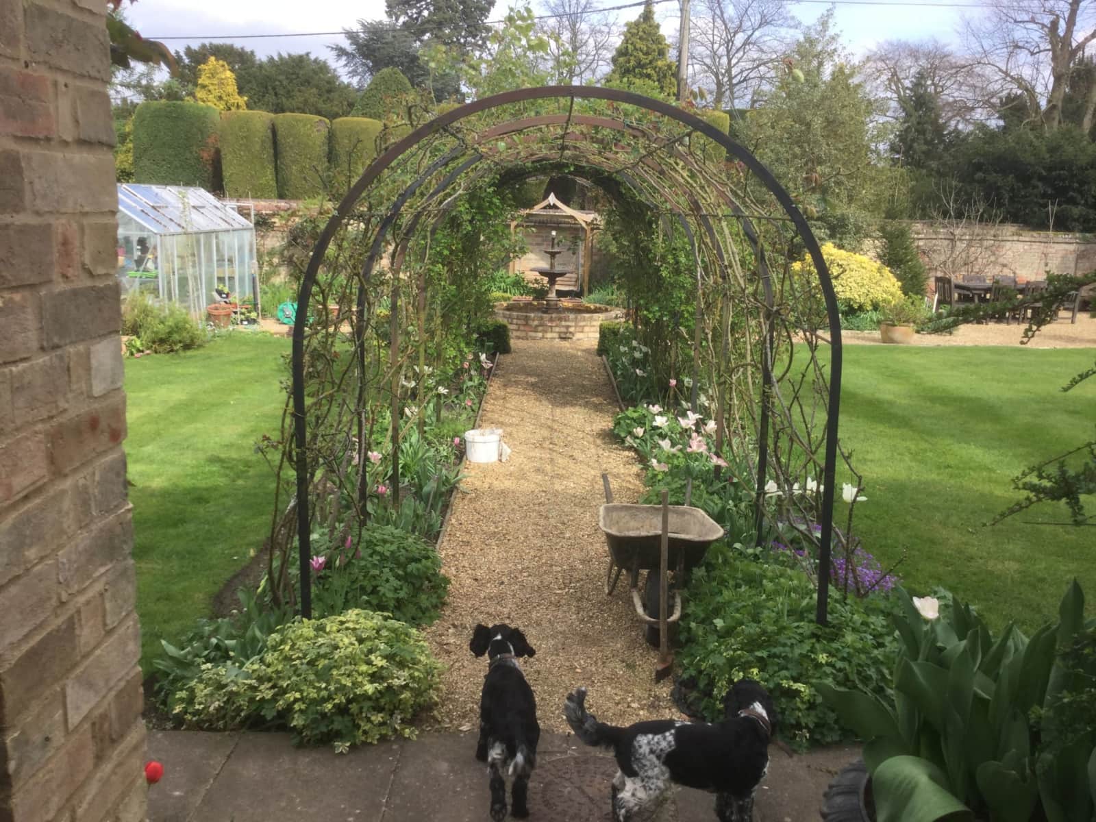 Housesitting assignment in Cambridge, United Kingdom