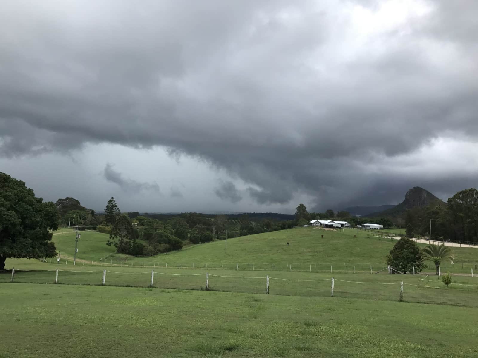 Housesitting assignment in Cooran, Queensland, Australia