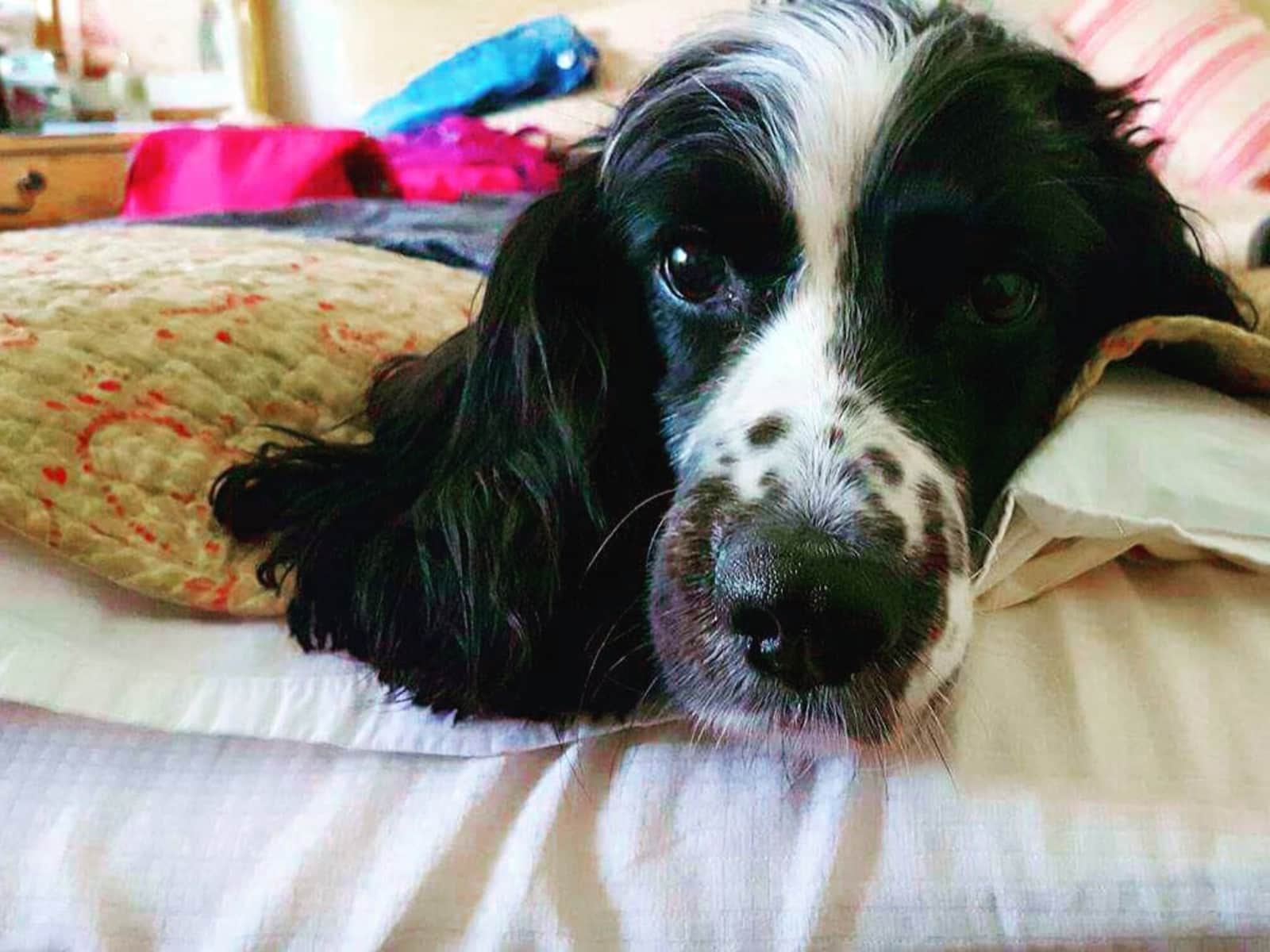 Ruth from Winchester, United Kingdom