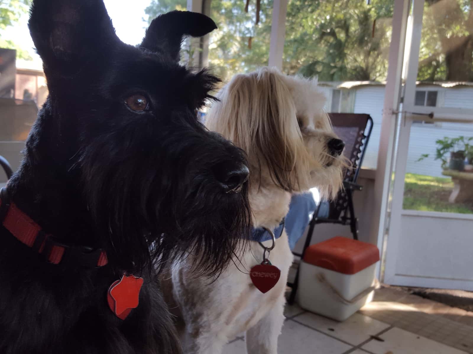 Shelia & Donald from Pensacola, Florida, United States