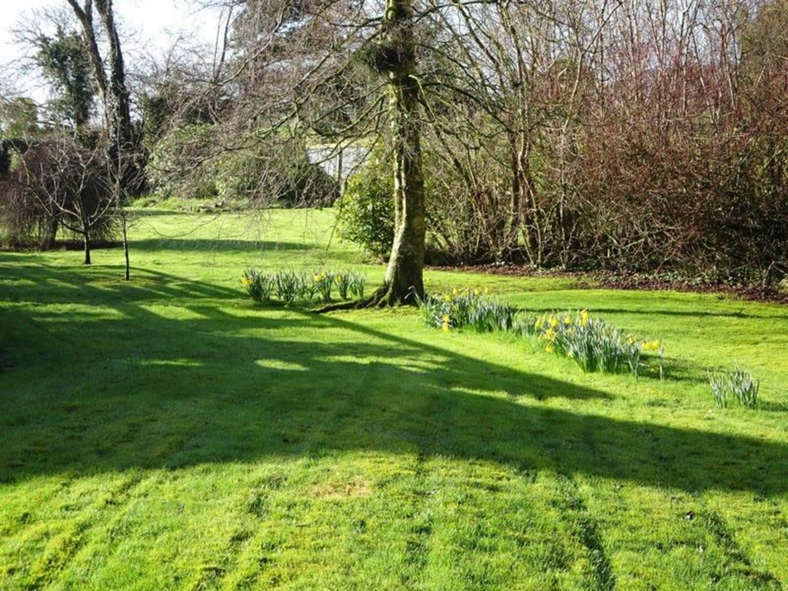 Housesitting assignment in Bangor, United Kingdom