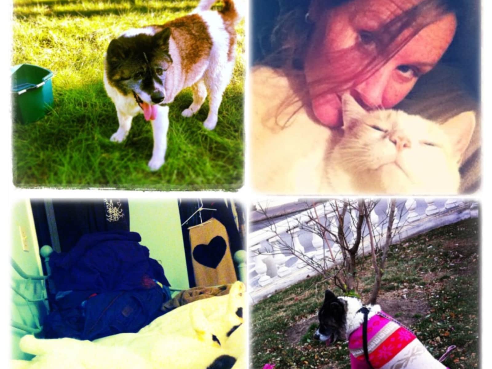 Tracy & Dane from Annapolis, Maryland, United States
