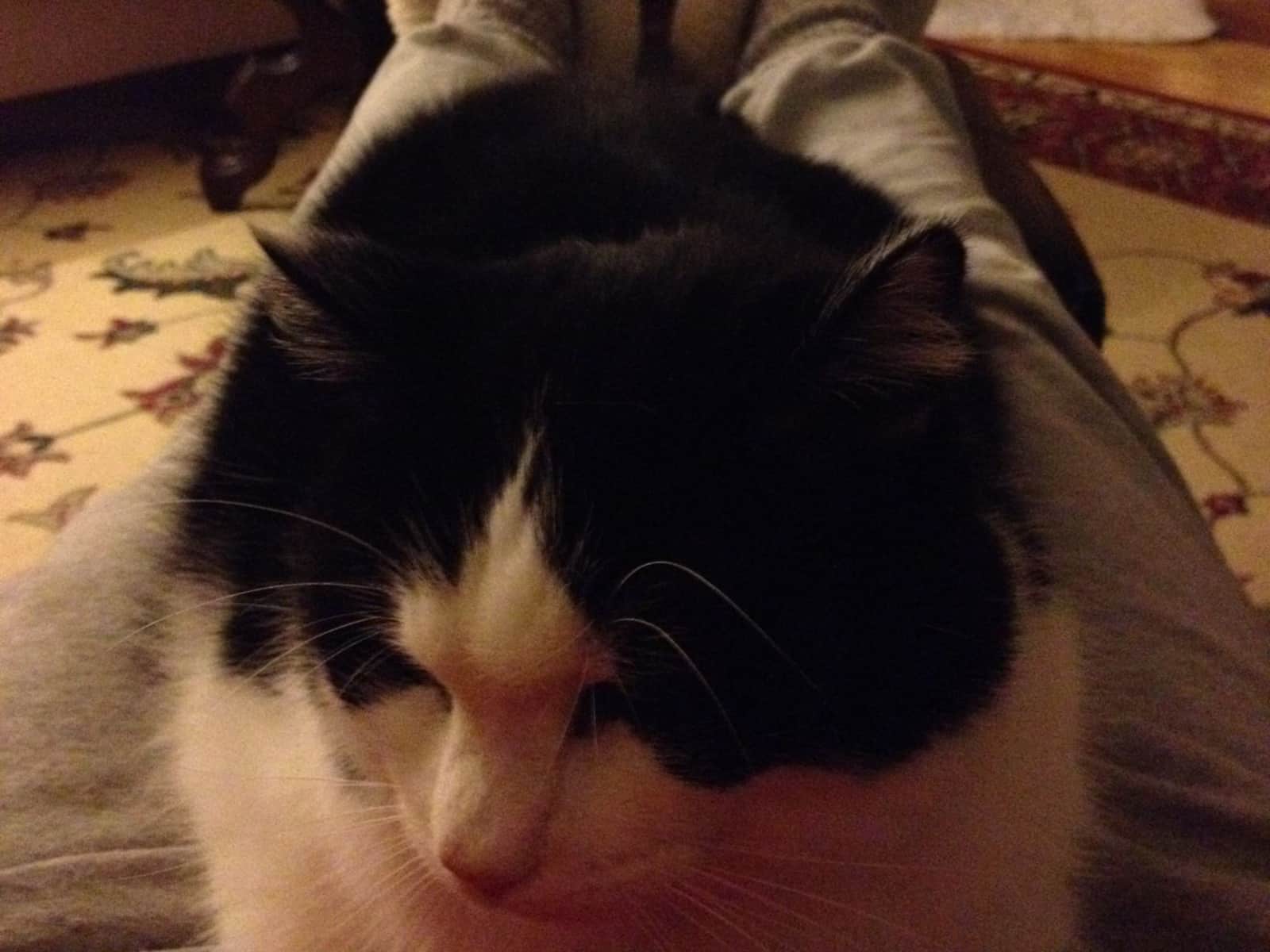 Gene from Halifax, Nova Scotia, Canada
