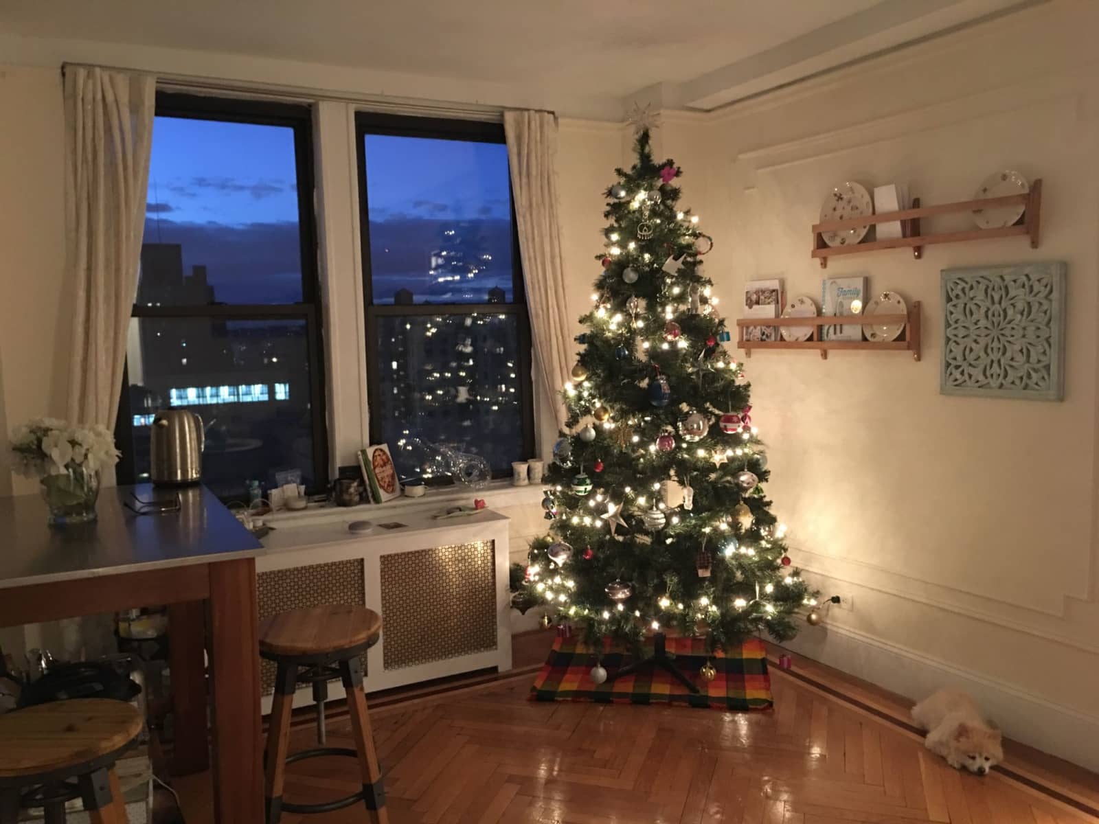 Housesitting assignment in New York City, New York, United States