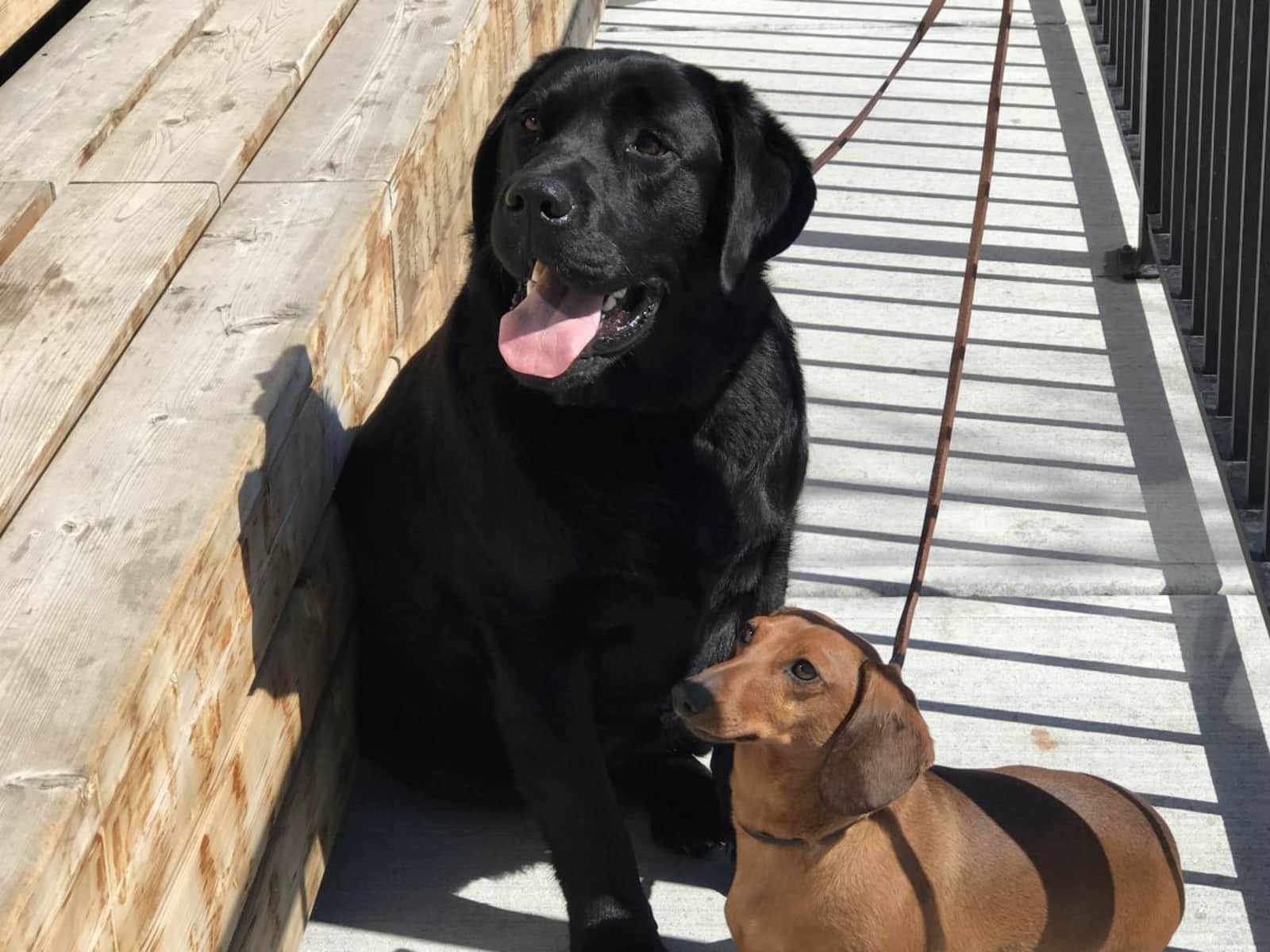 Francesca & Tim from Calgary, Alberta, Canada