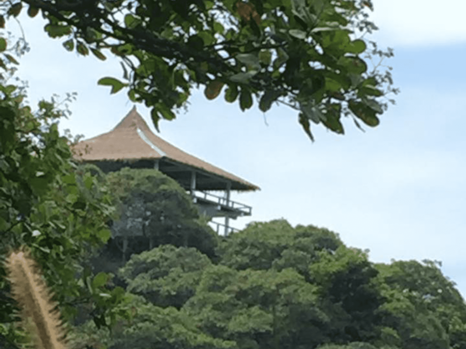 Housesitting assignment in Ko Phayam, Thailand