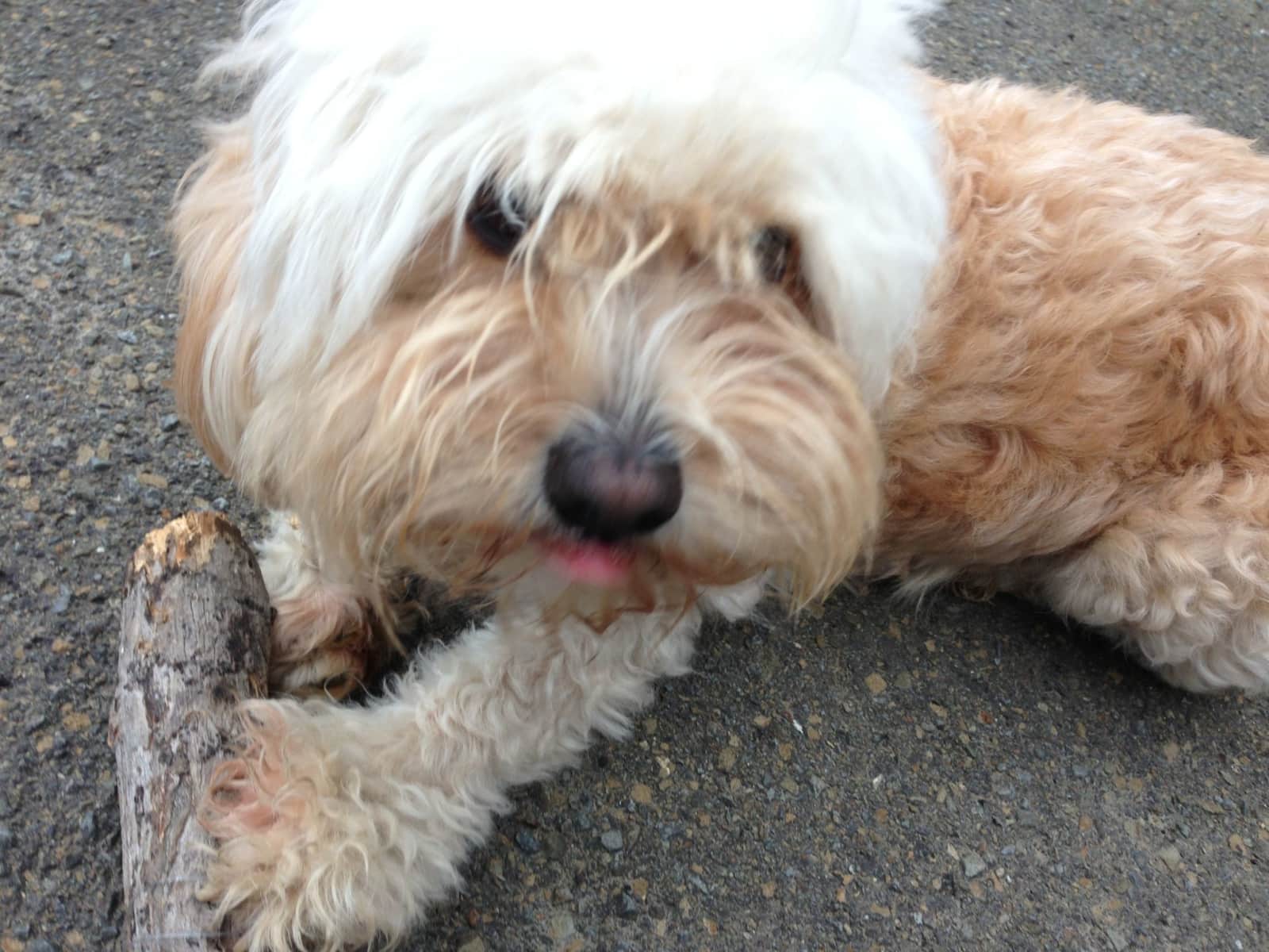 Tracey from Dublin, Ireland