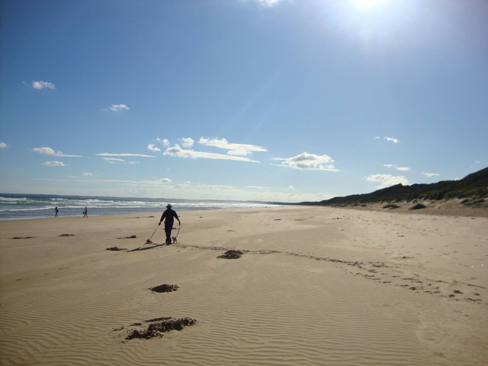 Housesitting assignment in Korumburra, Victoria, Australia